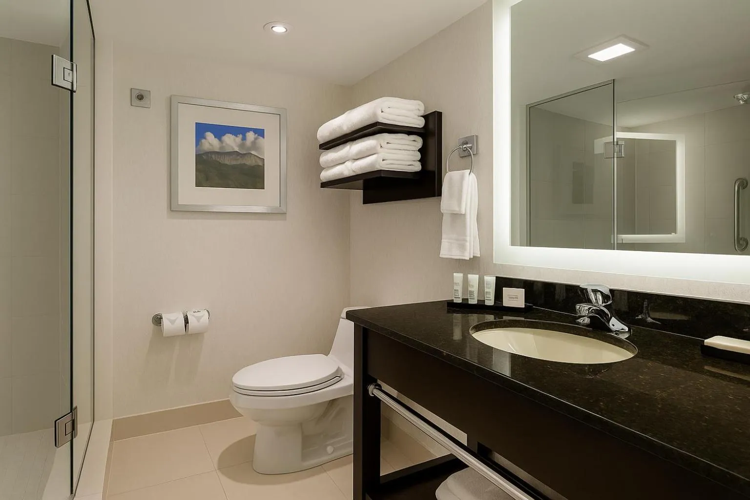 Bathroom in Tower Hotel at Fallsview