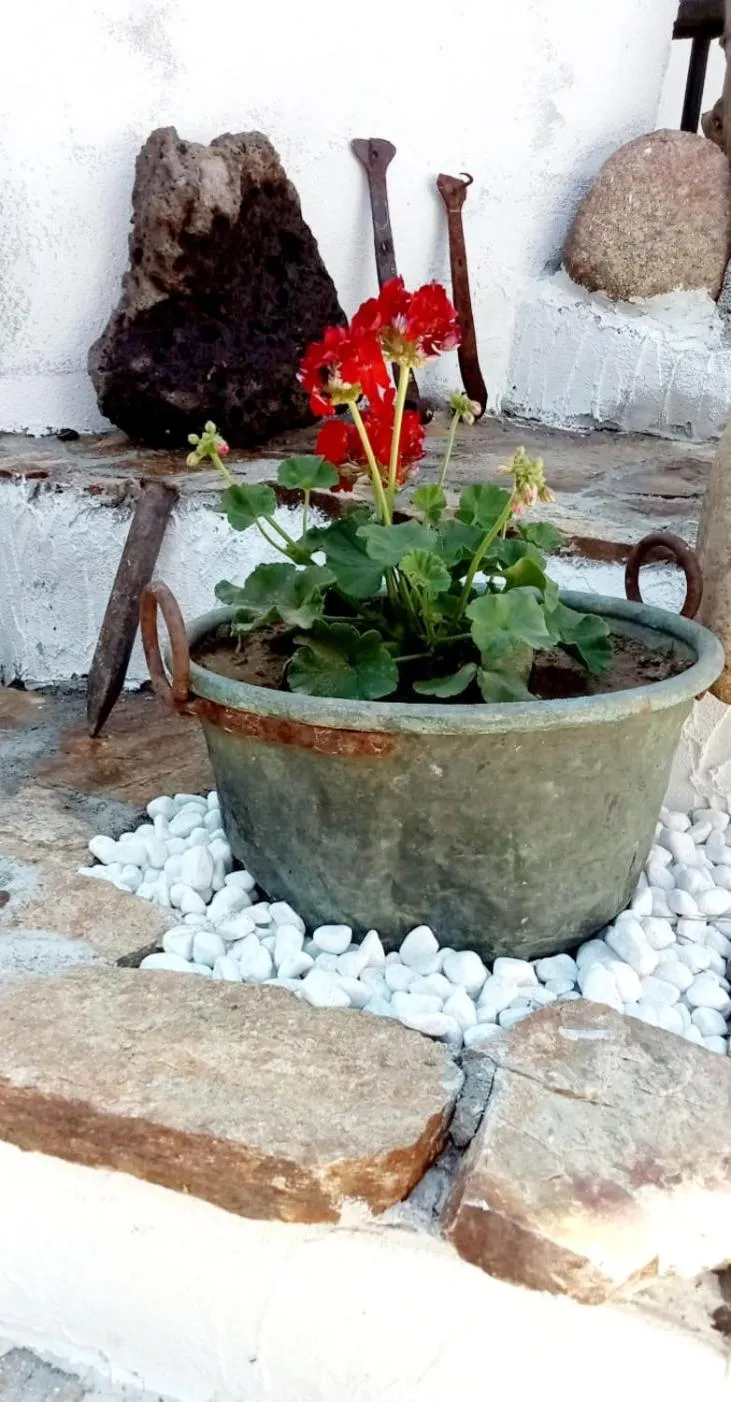 B&B Santu Giuvanni "Un tuffo nel passato Fonnese"