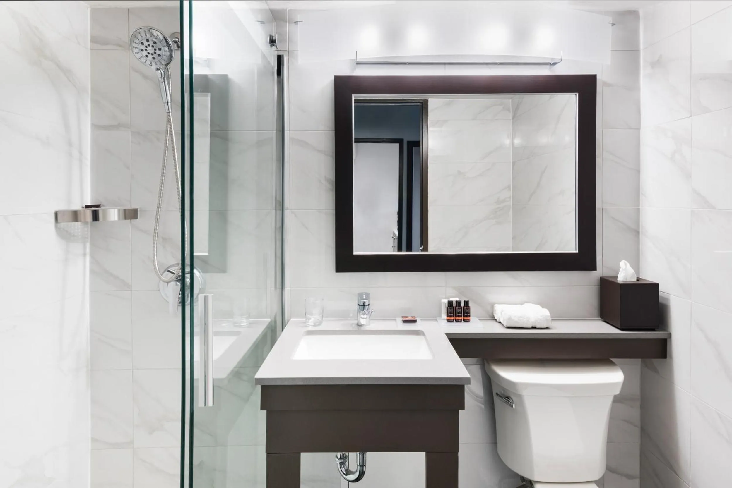 Shower in Ottawa Embassy Hotel & Suites