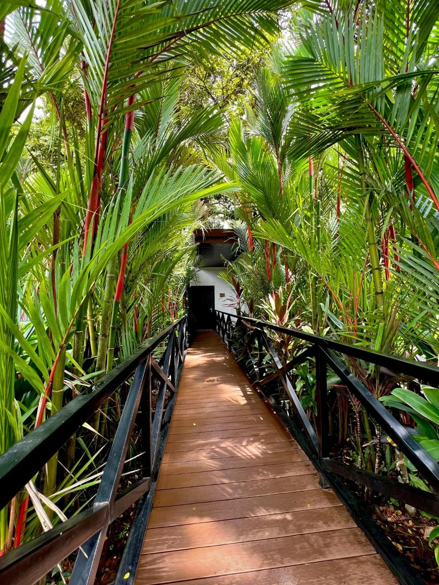 Hotel Boutique Casa Del Rio