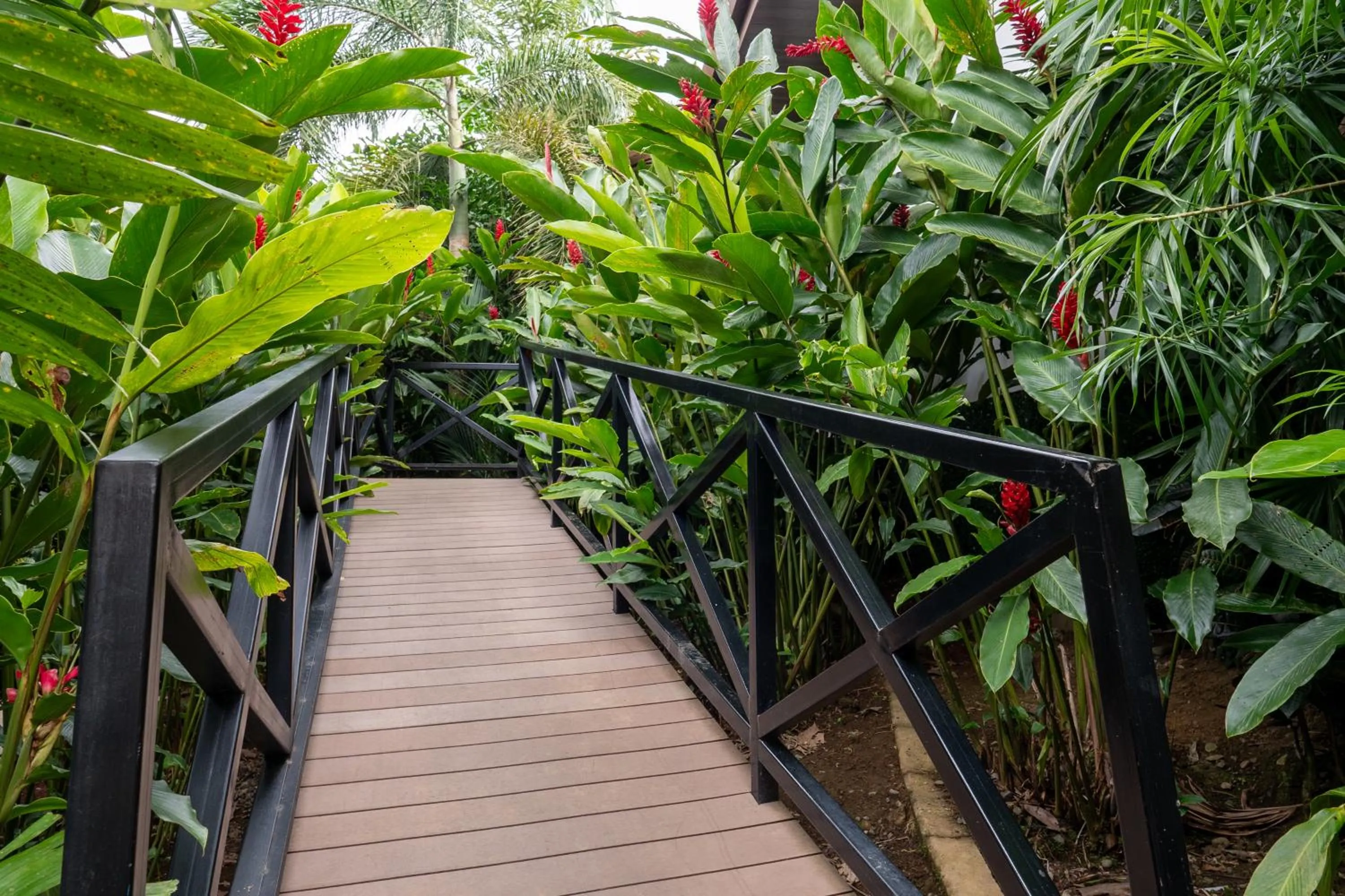 Hotel Boutique Casa Del Rio