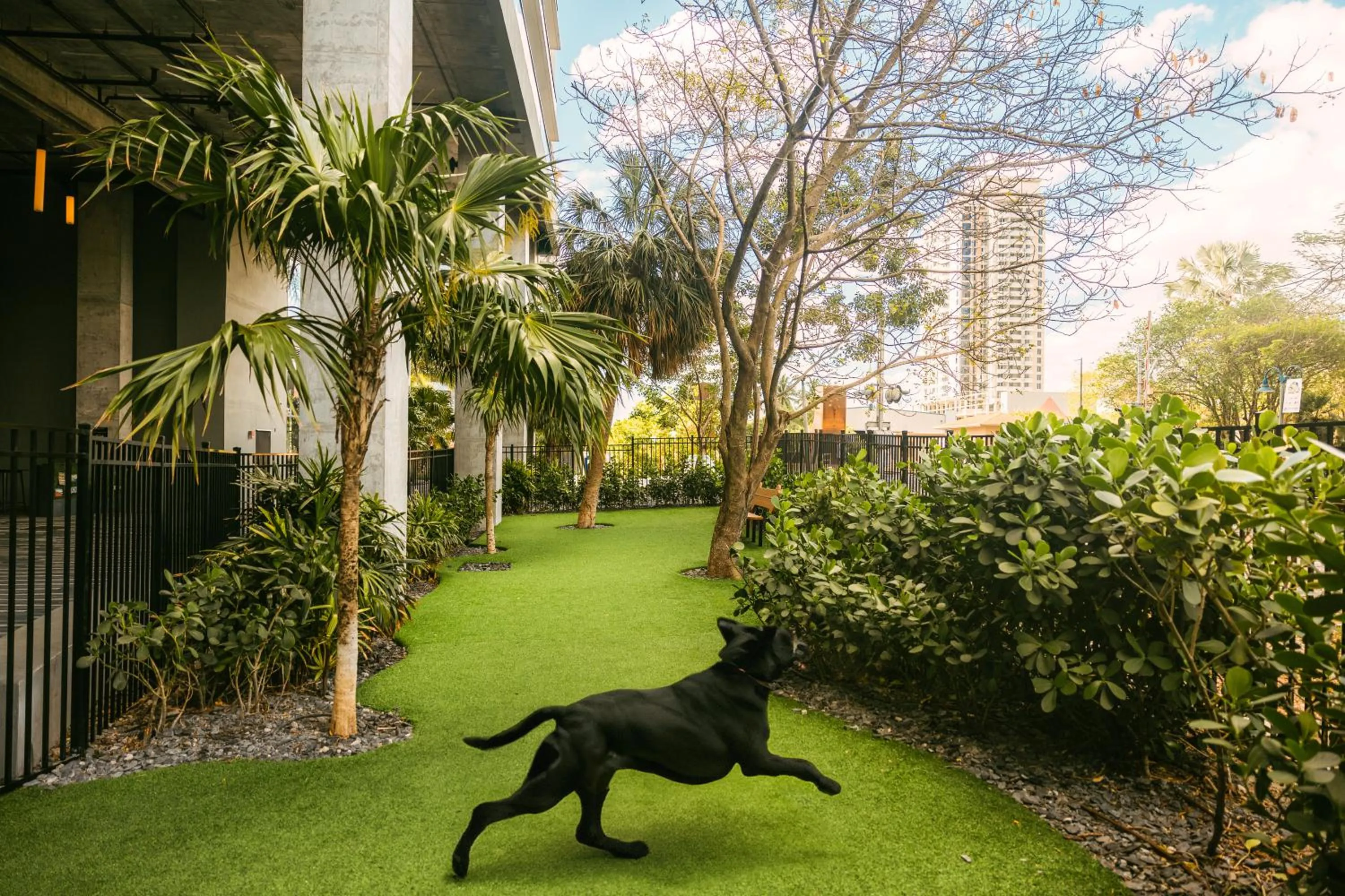 Pets in Sonder at Riverwalk