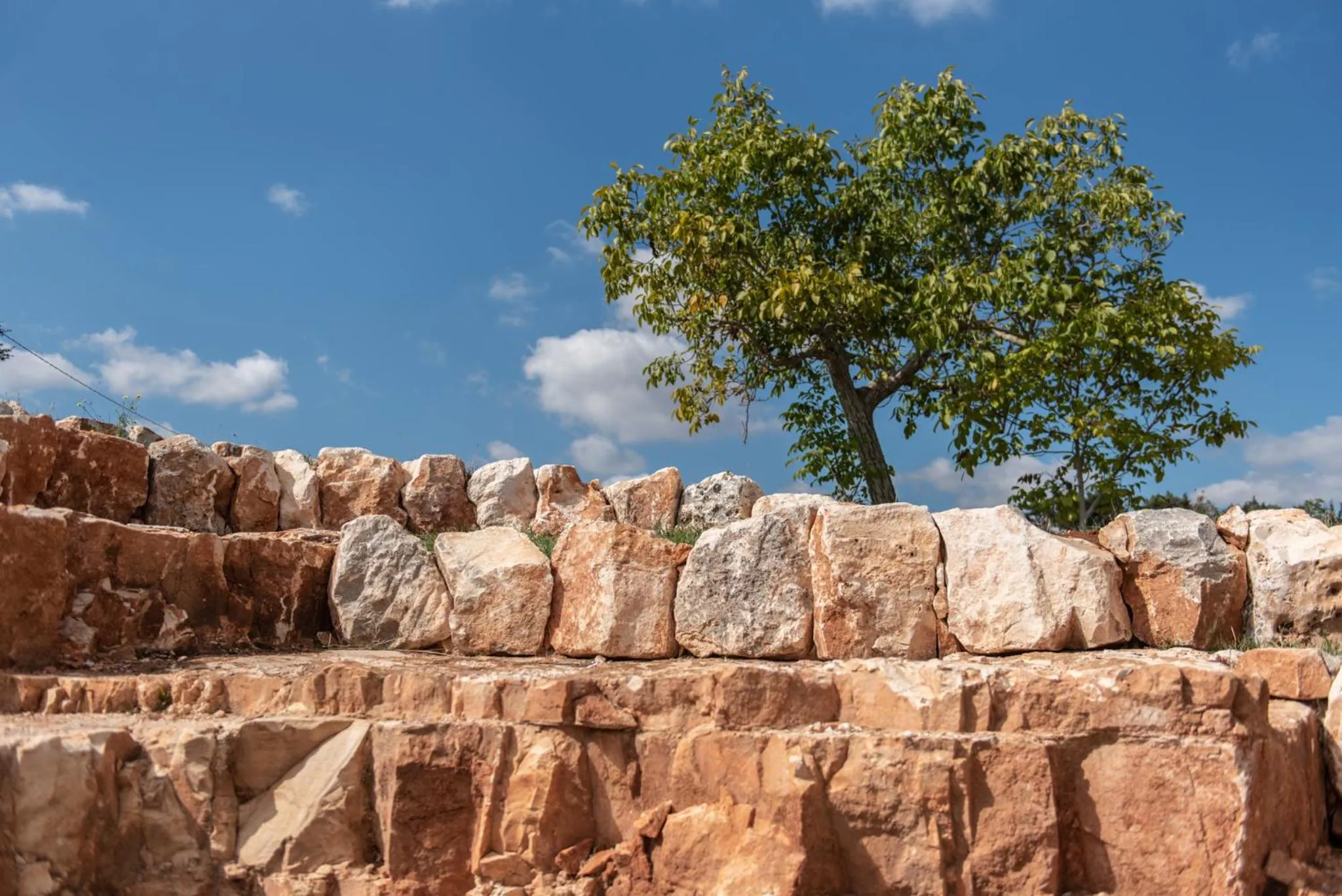 Day in Tenuta Marinelli