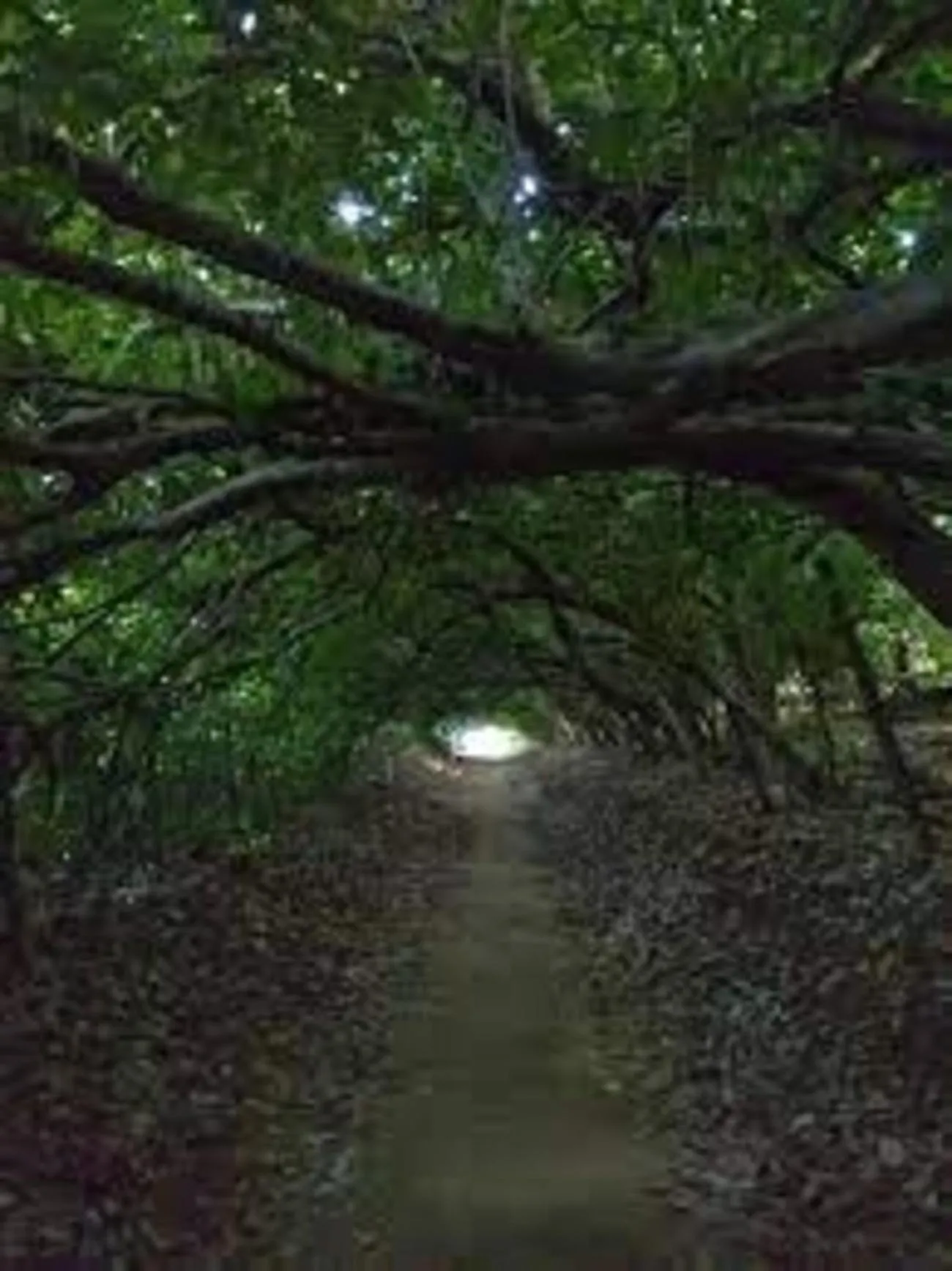 Nearby landmark in TS Hotel - Taman Rinting