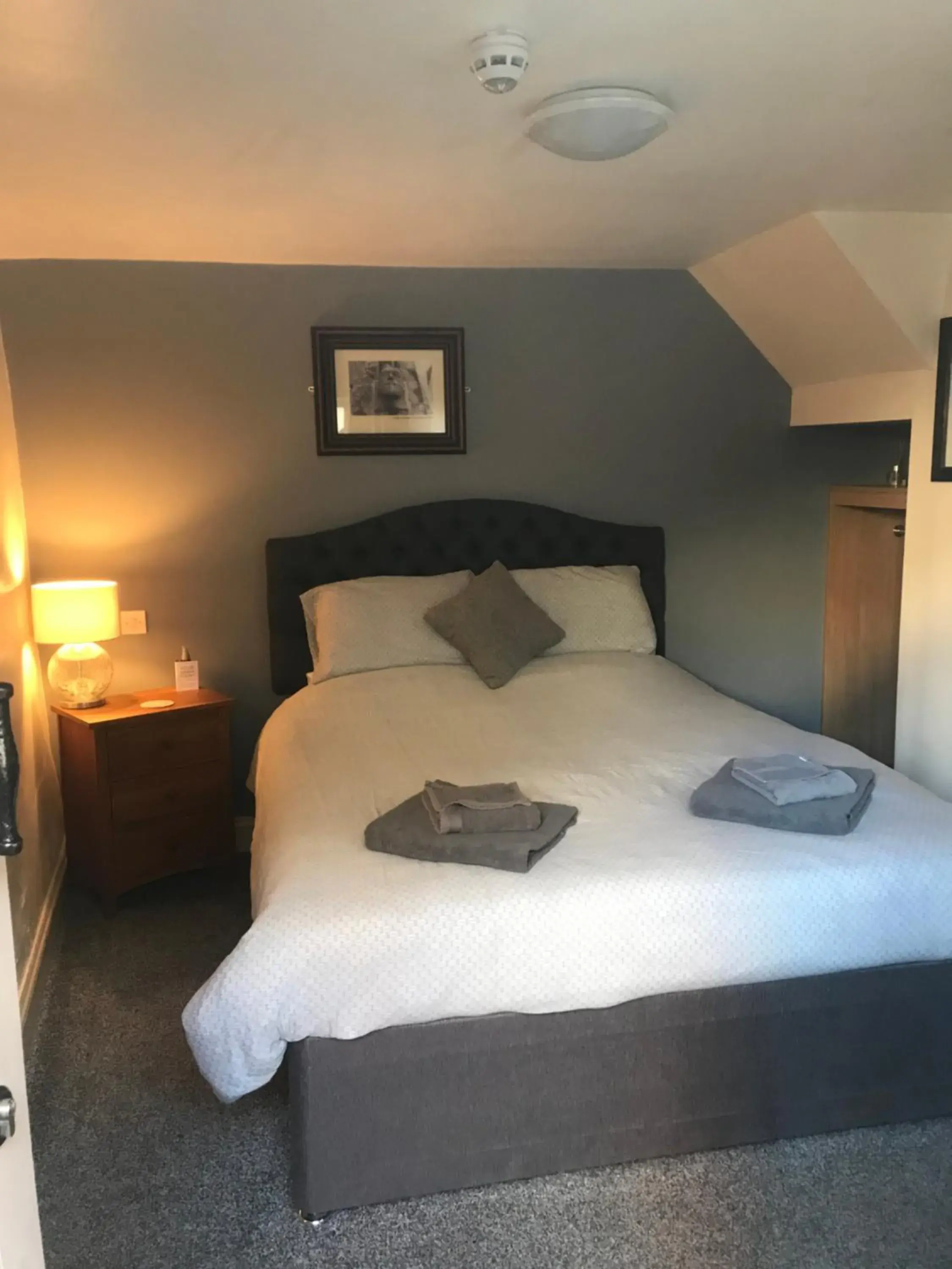 Double Room with Private Bathroom in The Swan Inn Newport Double Room with Private Bathroom in The Swan Inn Newport