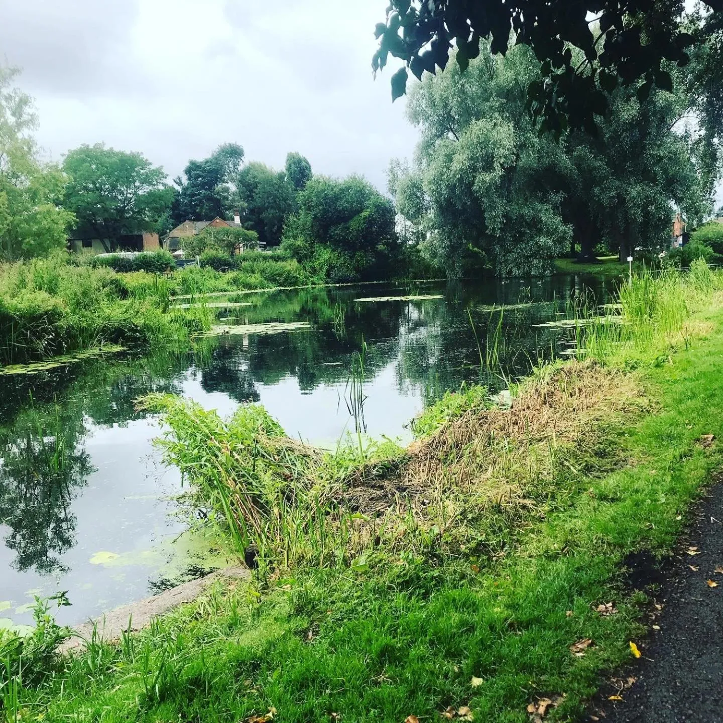 The Swan Inn Newport