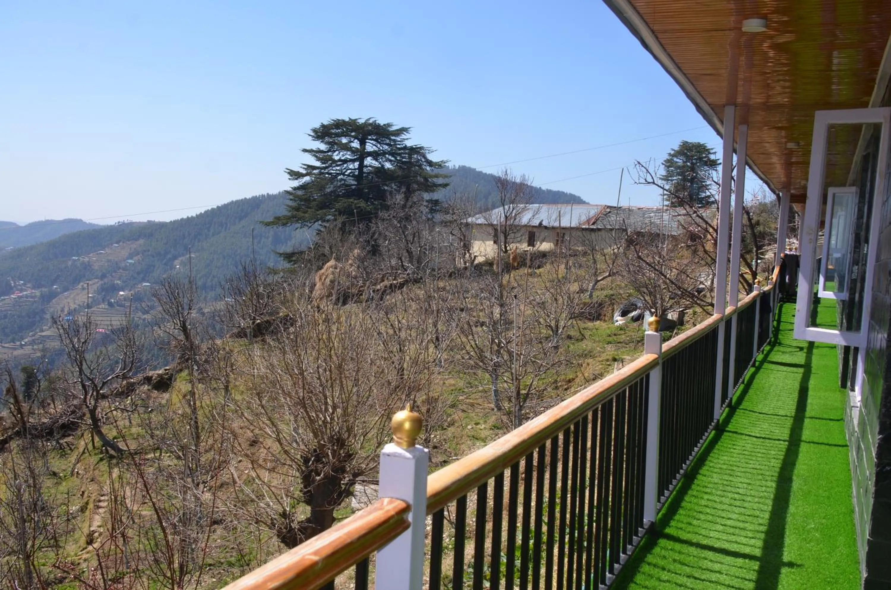 Day in Hari Om Paradise