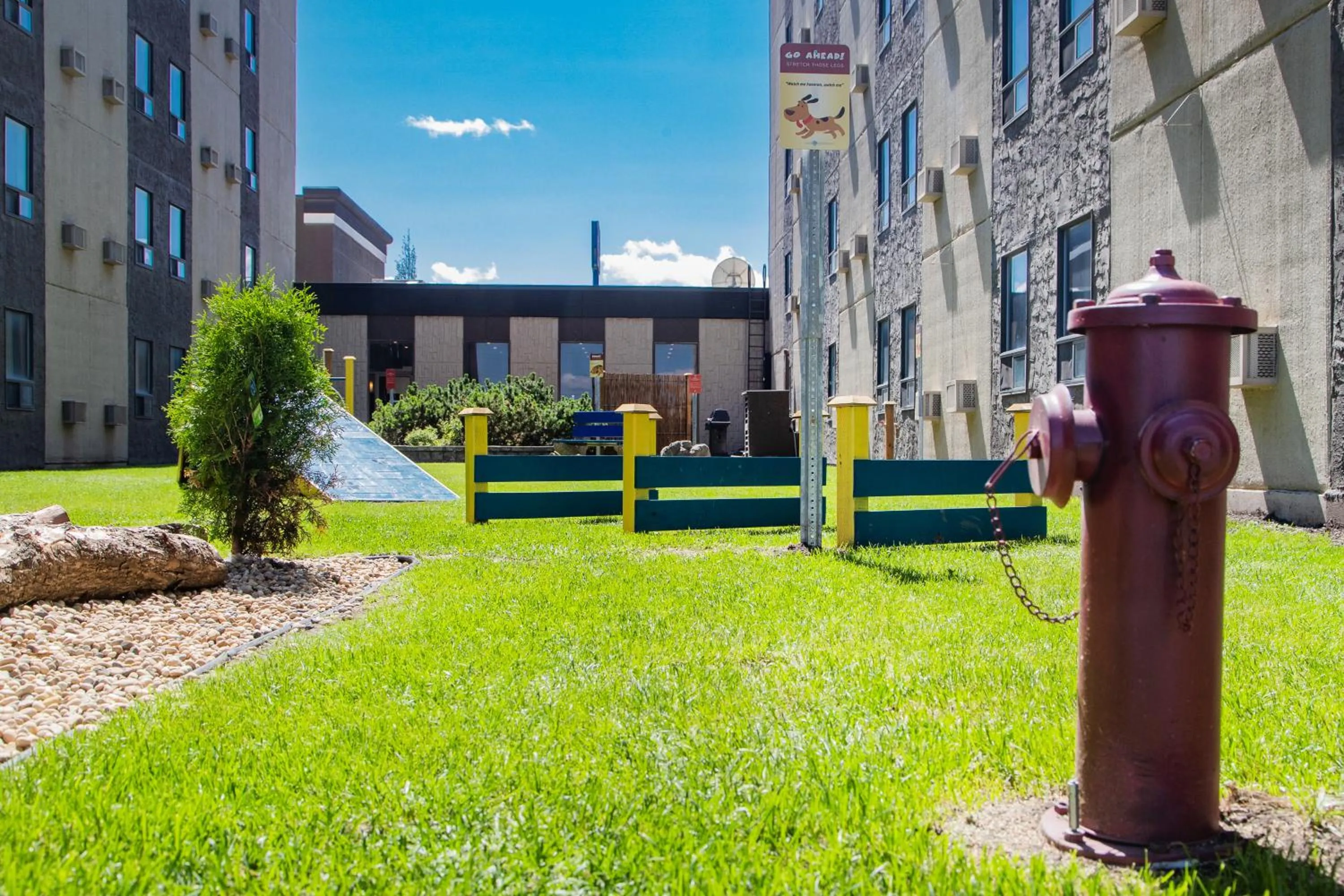 Pets in Travelodge by Wyndham Edmonton West