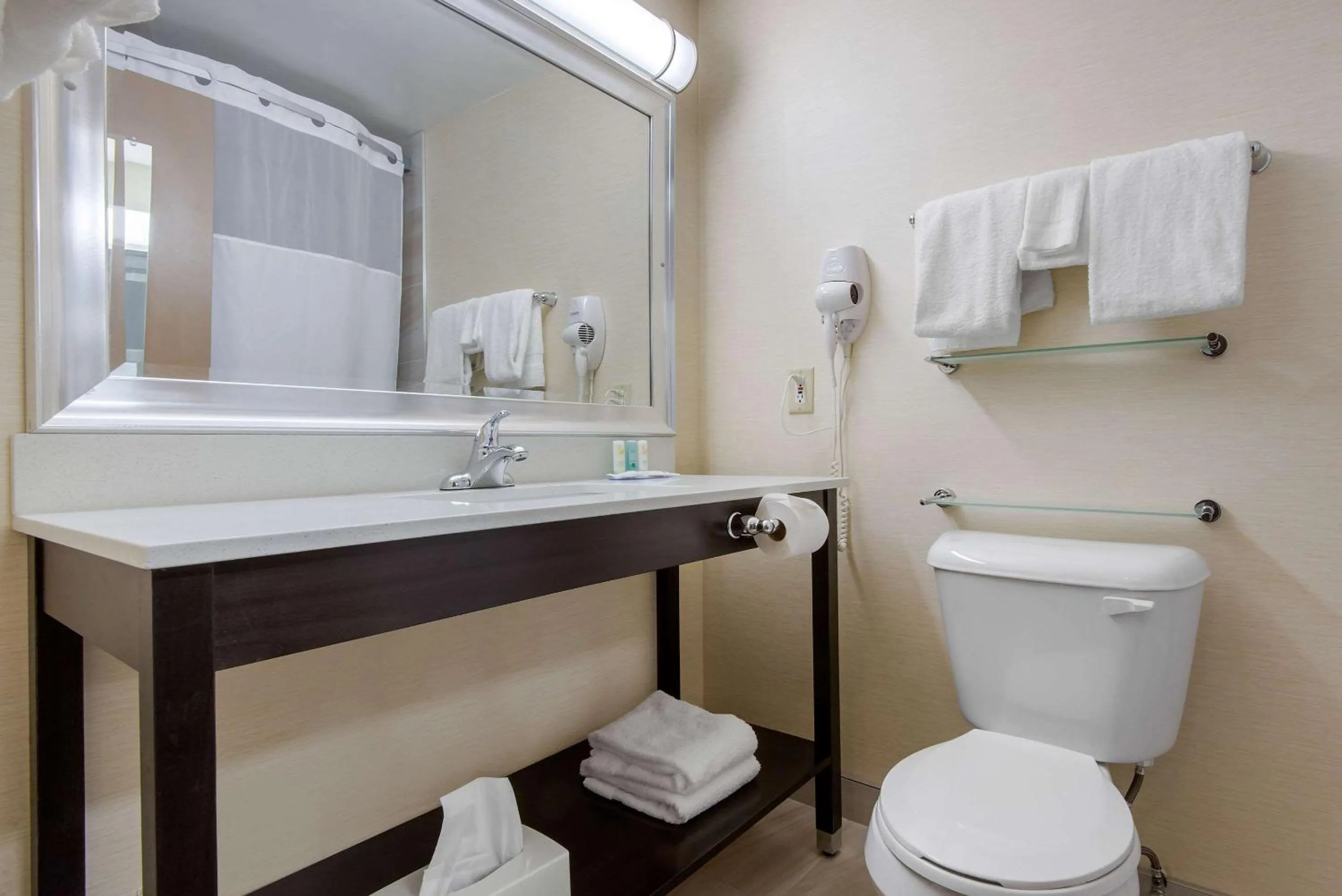Bathroom in Quality Inn & Conference Centre Downtown Sudbury