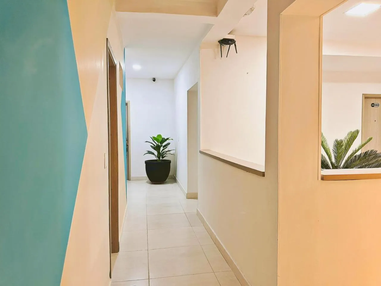 Area and facilities in Hotel Boutique Gao