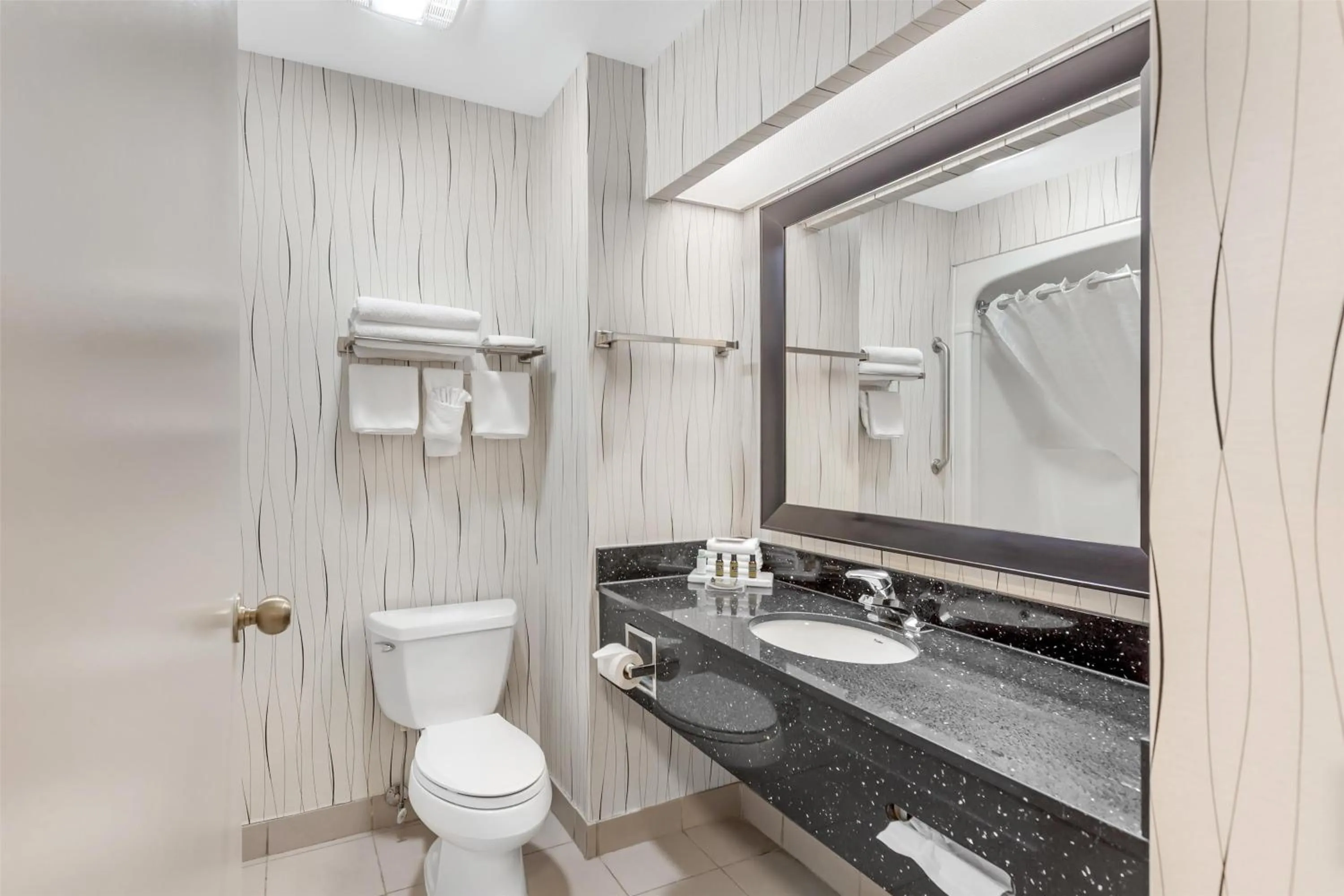 Bathroom in Best Western Plus Travel Hotel Toronto Airport