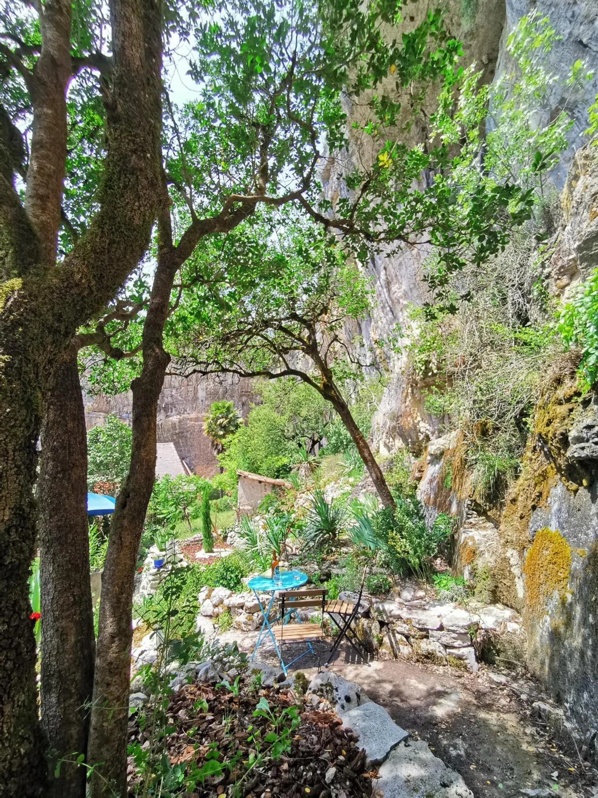 Garden in Gîtes Un Jardin dans la Falaise