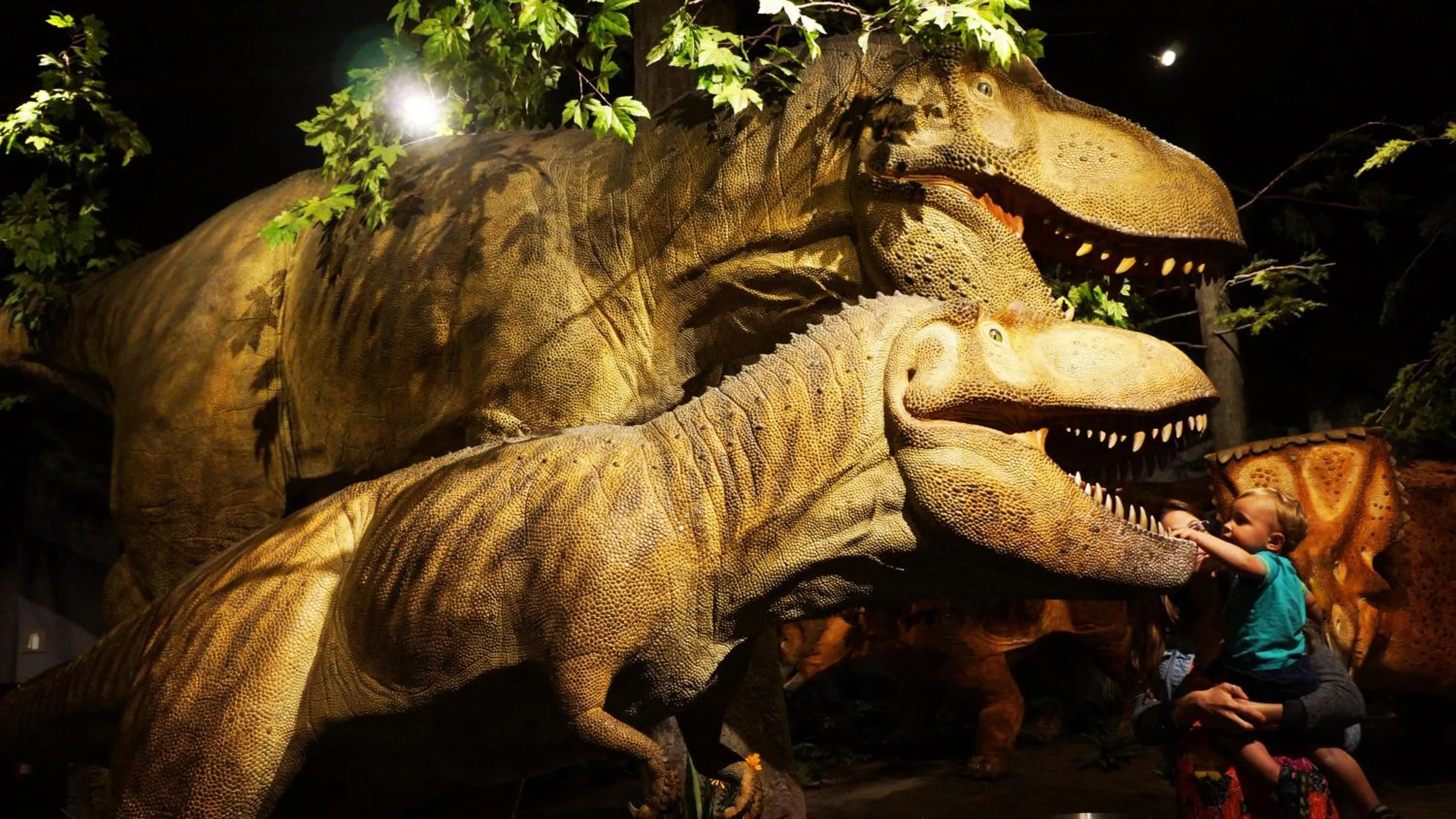 Nearby landmark in Holiday Inn - Ottawa Dwtn - Parliament Hill by IHG