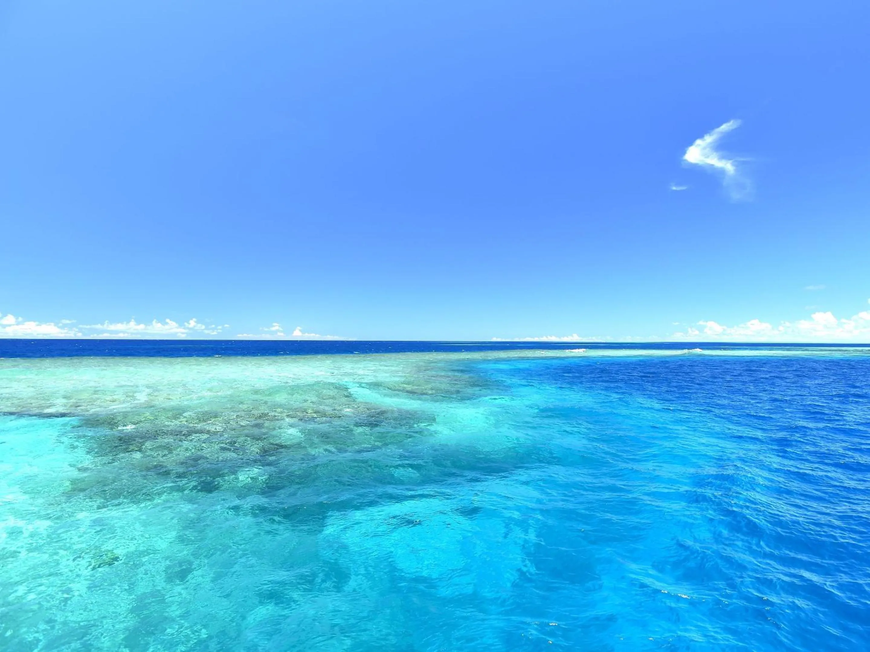 Activities in HOTEL SEABREEZE CORAL