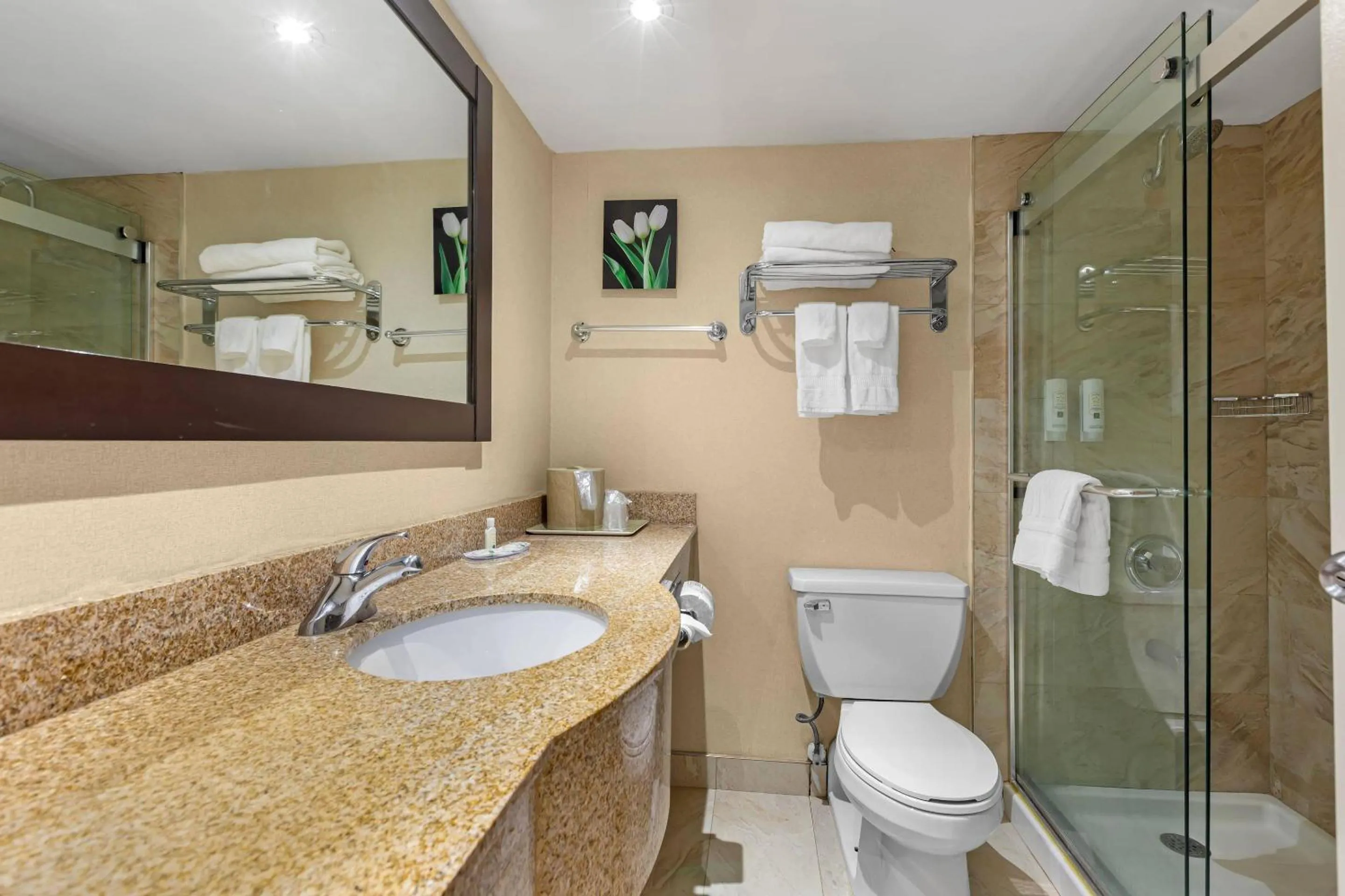 Bedroom in Quality Inn & Suites