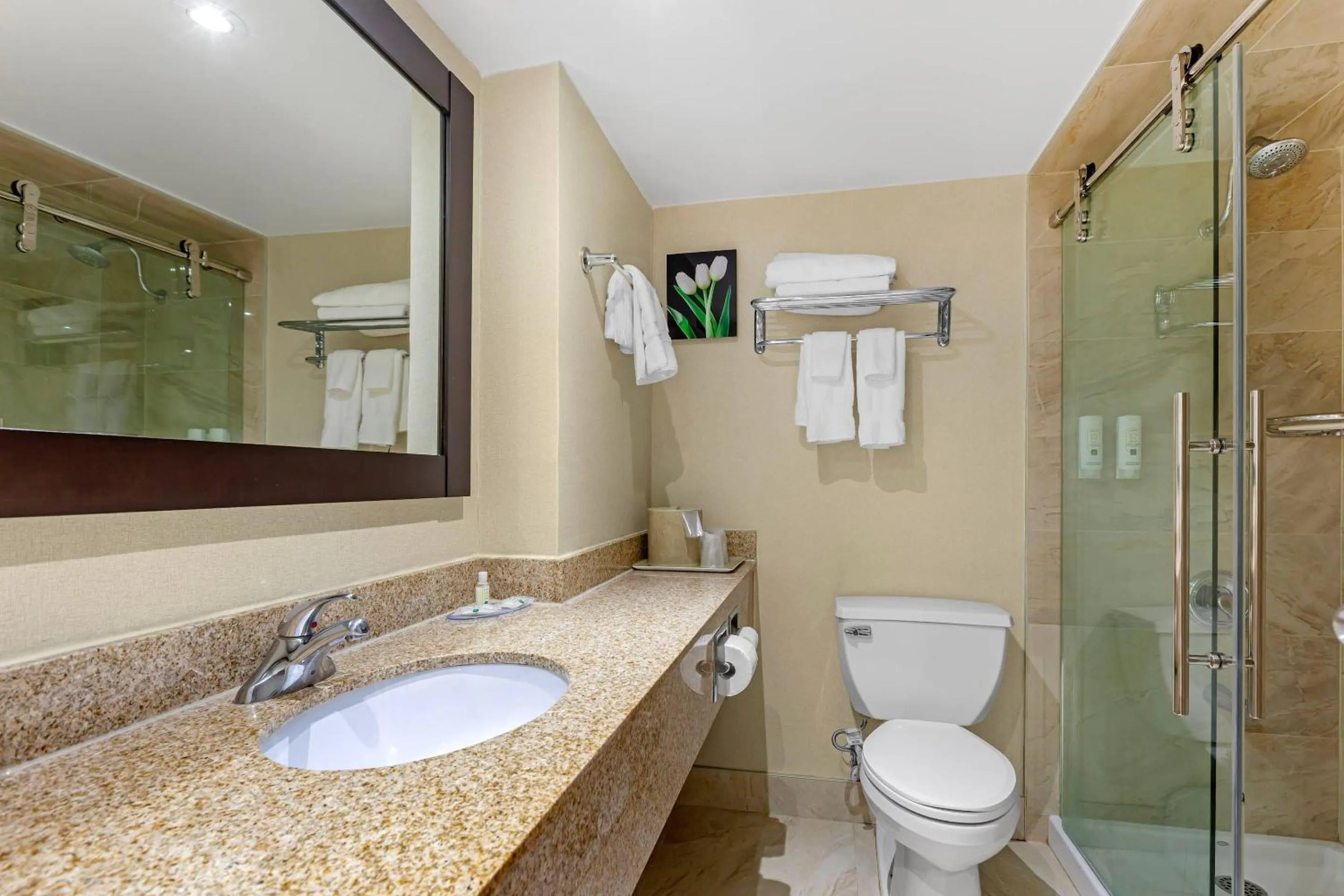 Bathroom in Quality Inn & Suites