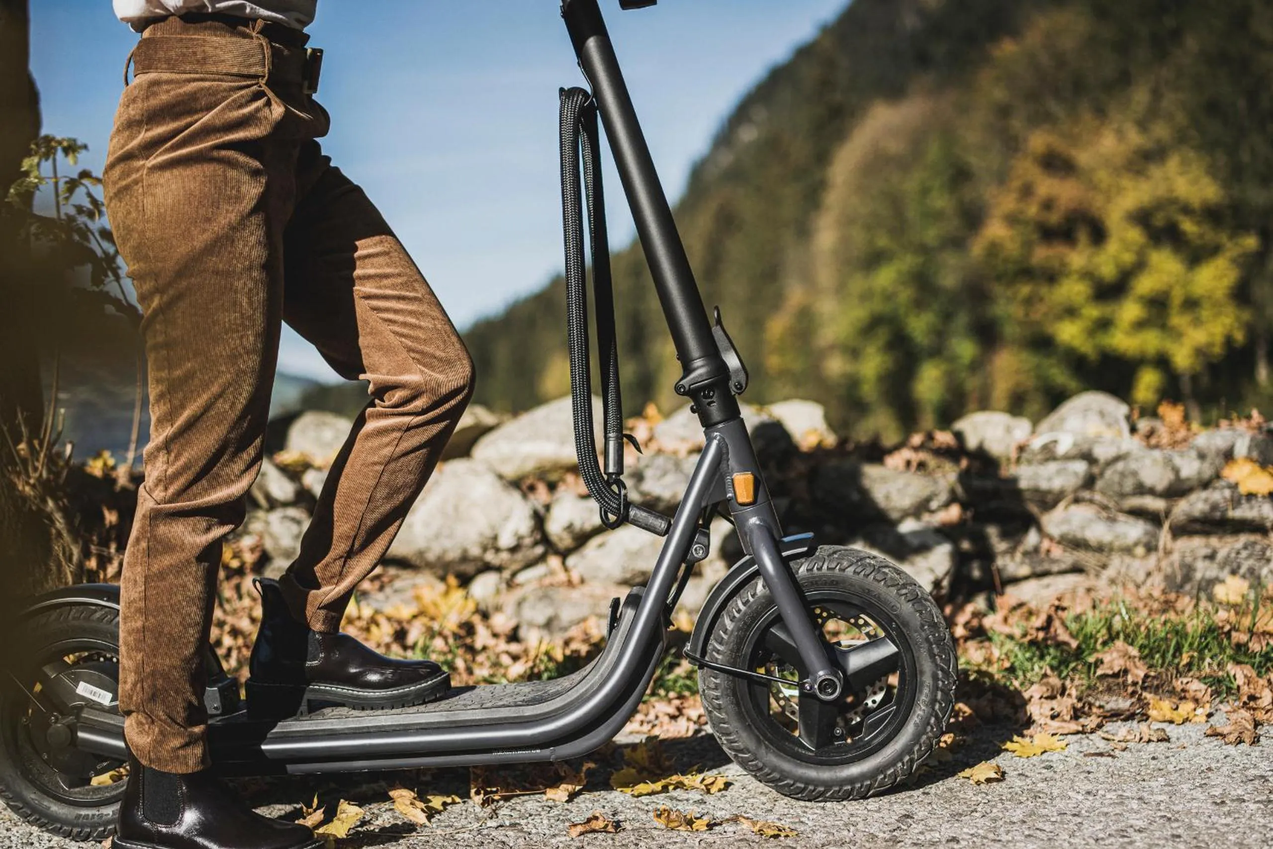 Activities in Coolnest