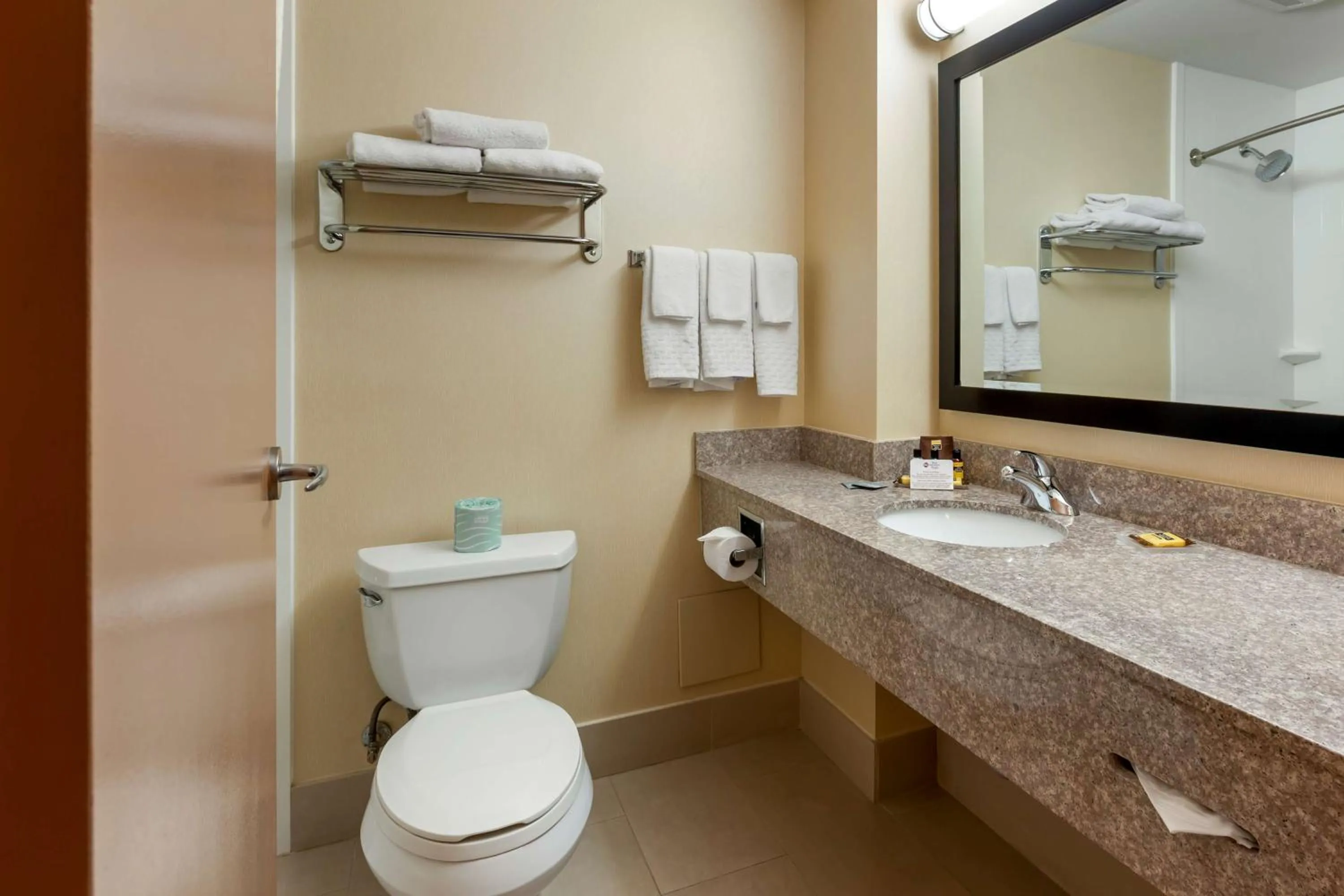 Bathroom in Best Western Plus Burlington Inn & Suites