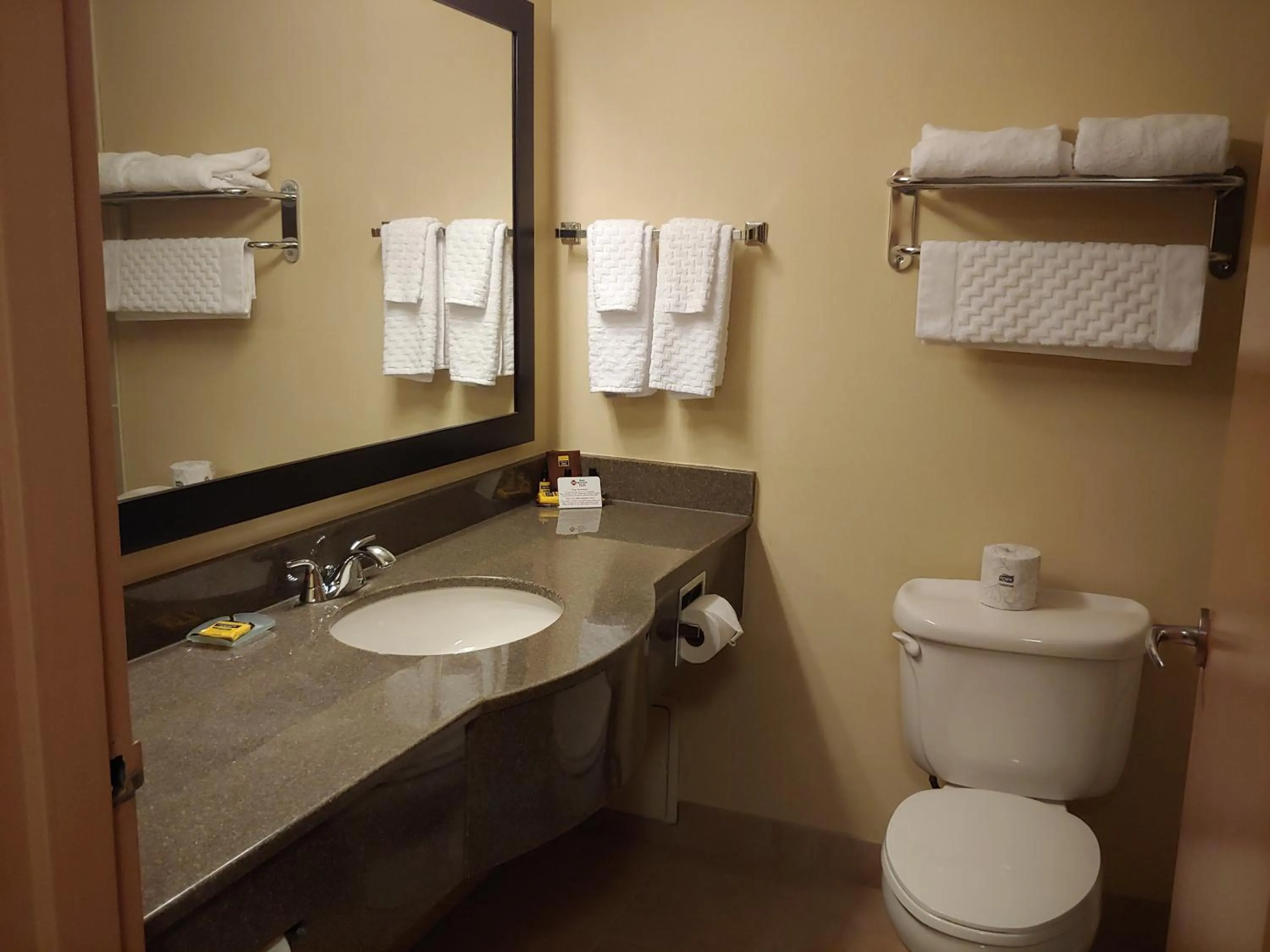 Bathroom in Best Western Plus Burlington Inn & Suites