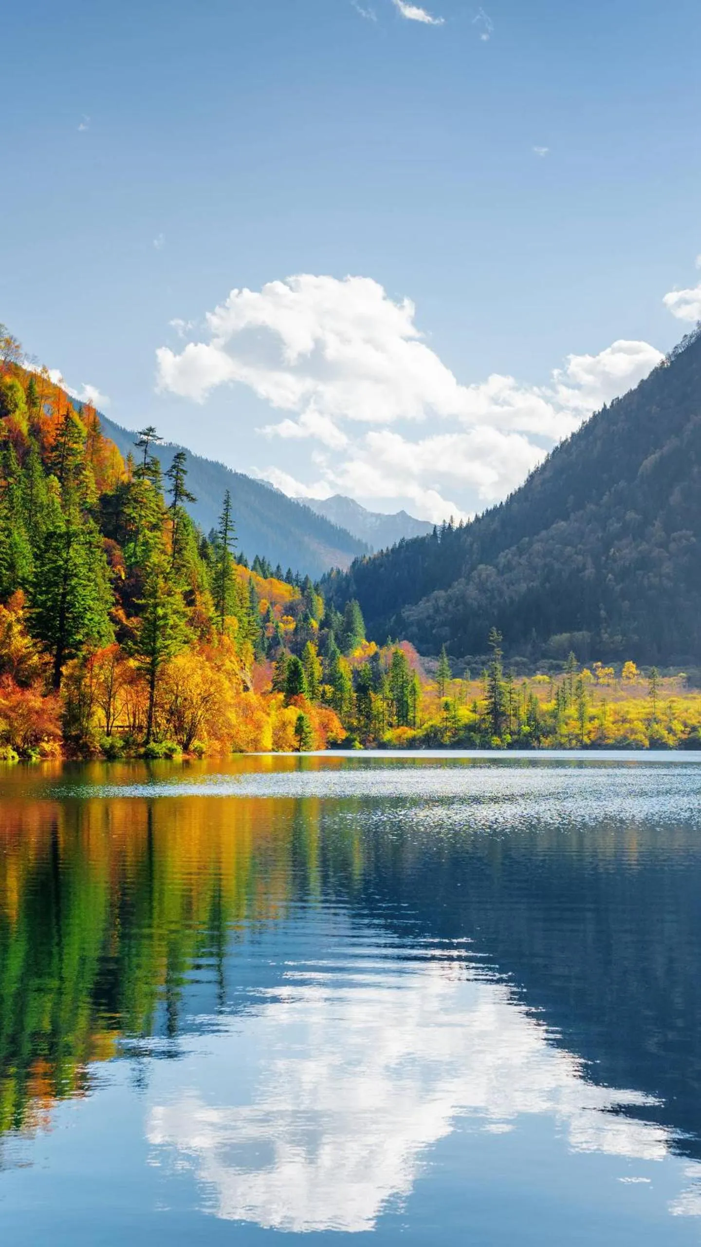 Natural landscape in Motel Des Pays D'En Haut