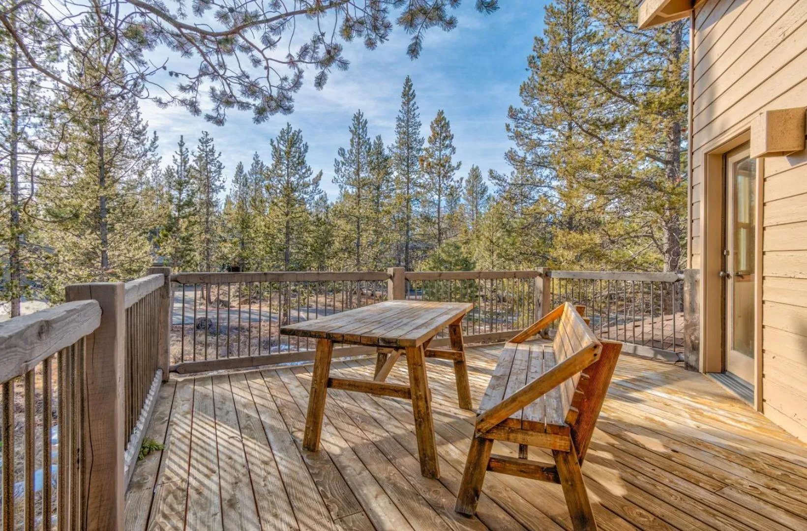 Paper Birch - Unit 10