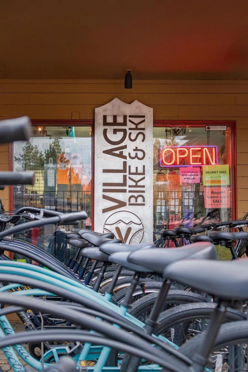 Paper Birch - Unit 10