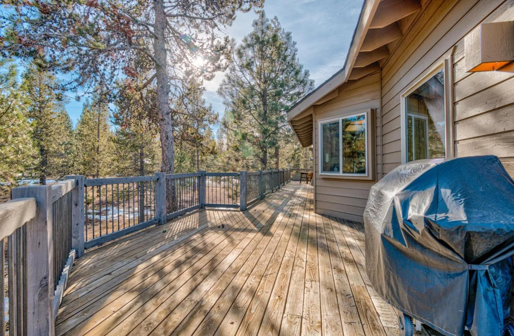 Paper Birch - Unit 10