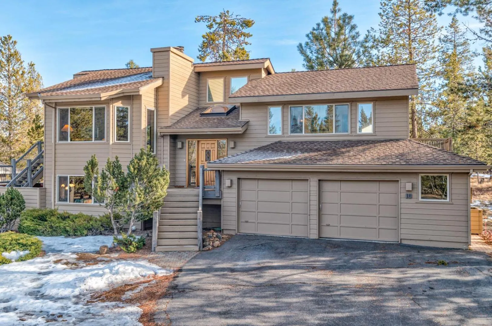 Paper Birch - Unit 10