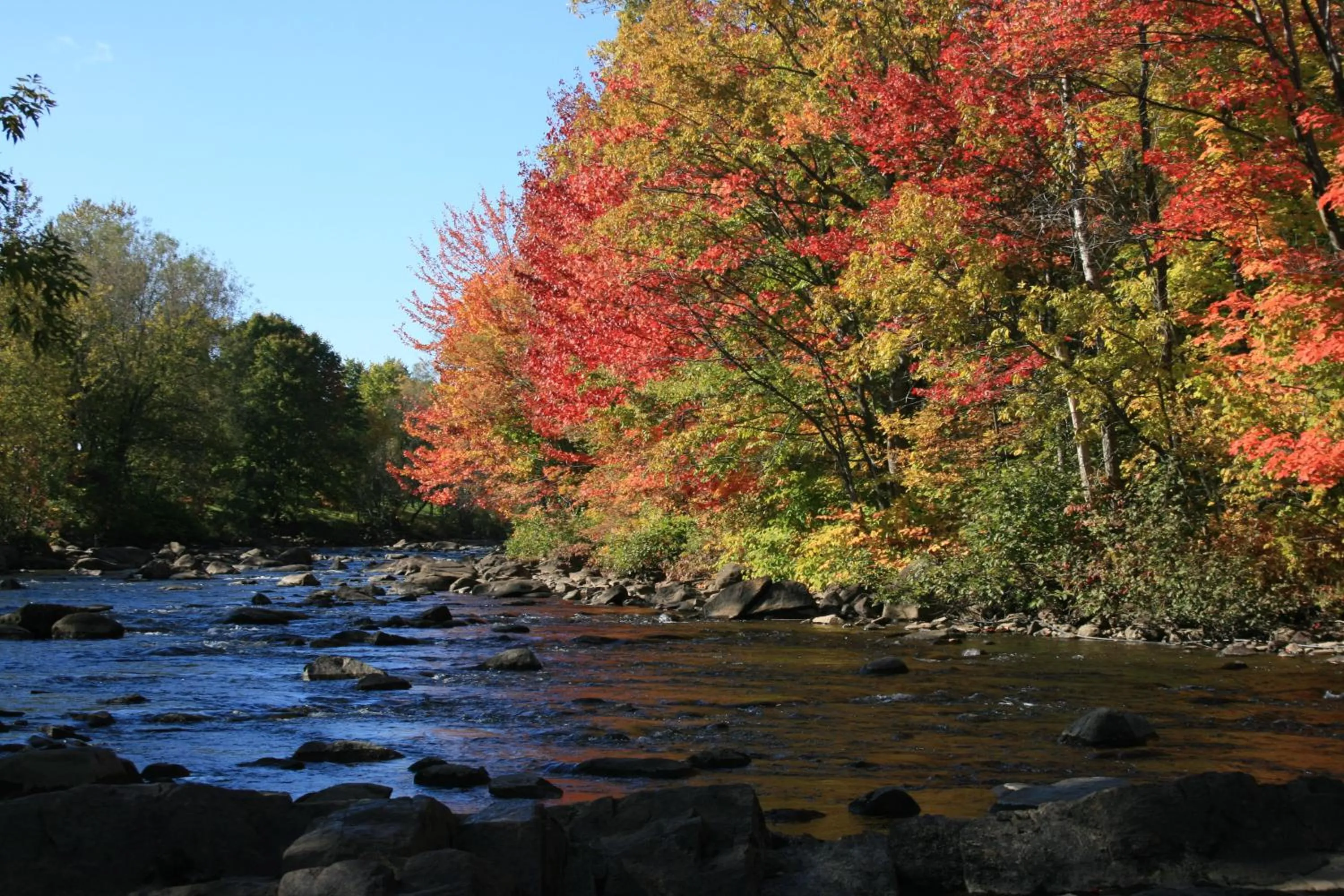 Natural landscape in Hôtel-Musée Premières Nations