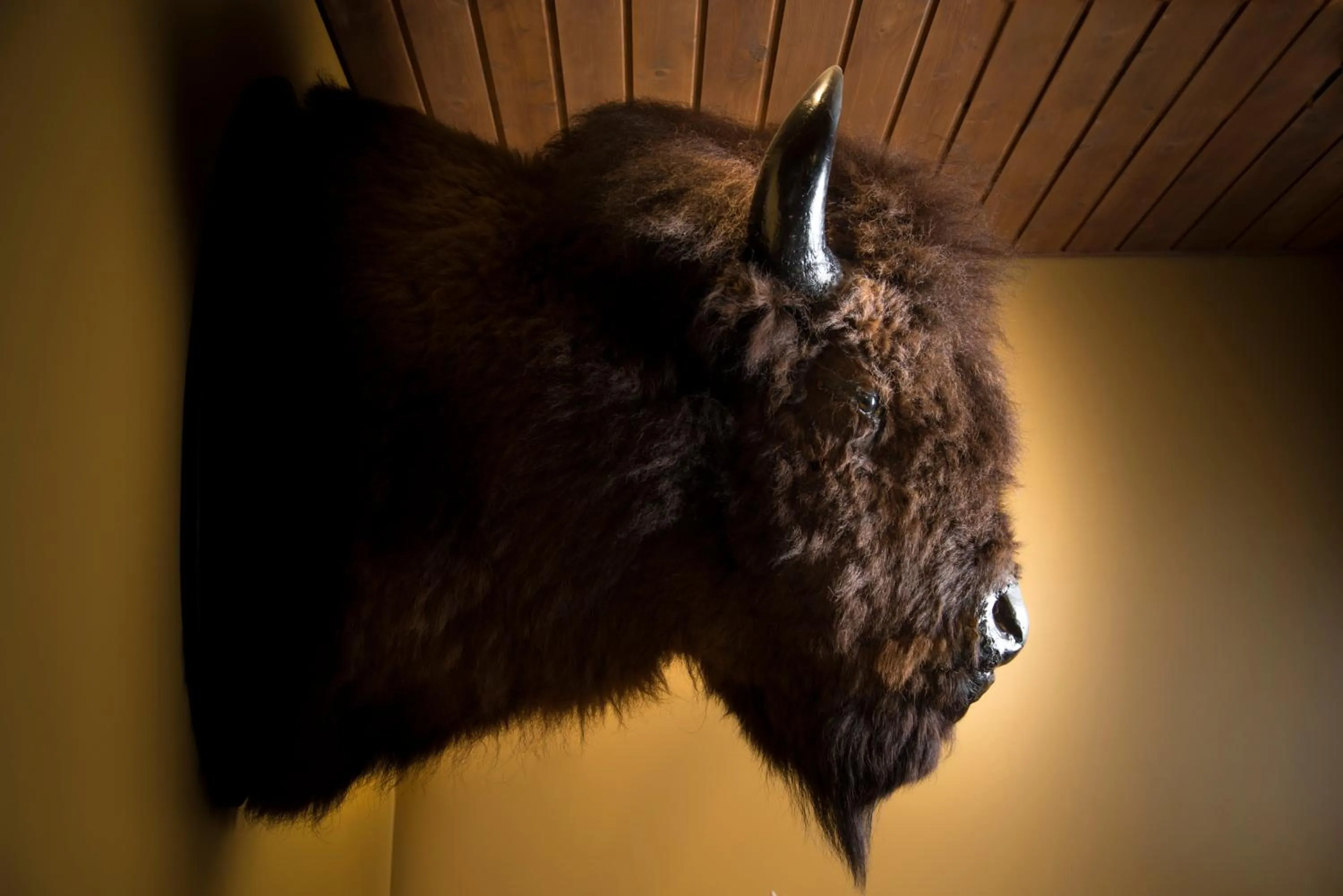 Decorative detail in Hôtel-Musée Premières Nations