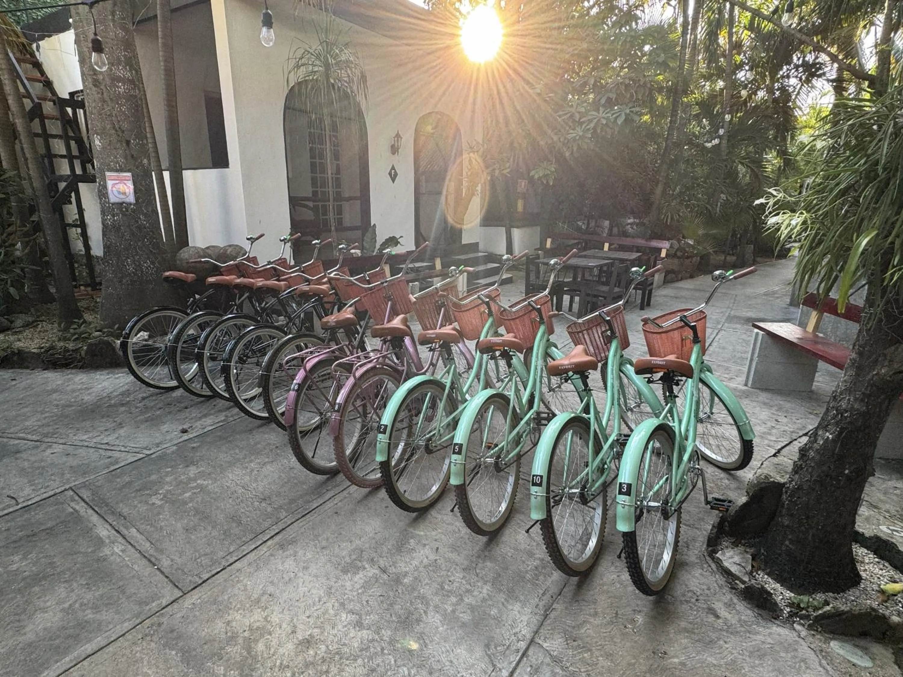 Activities in Hostel Oryx Tulum