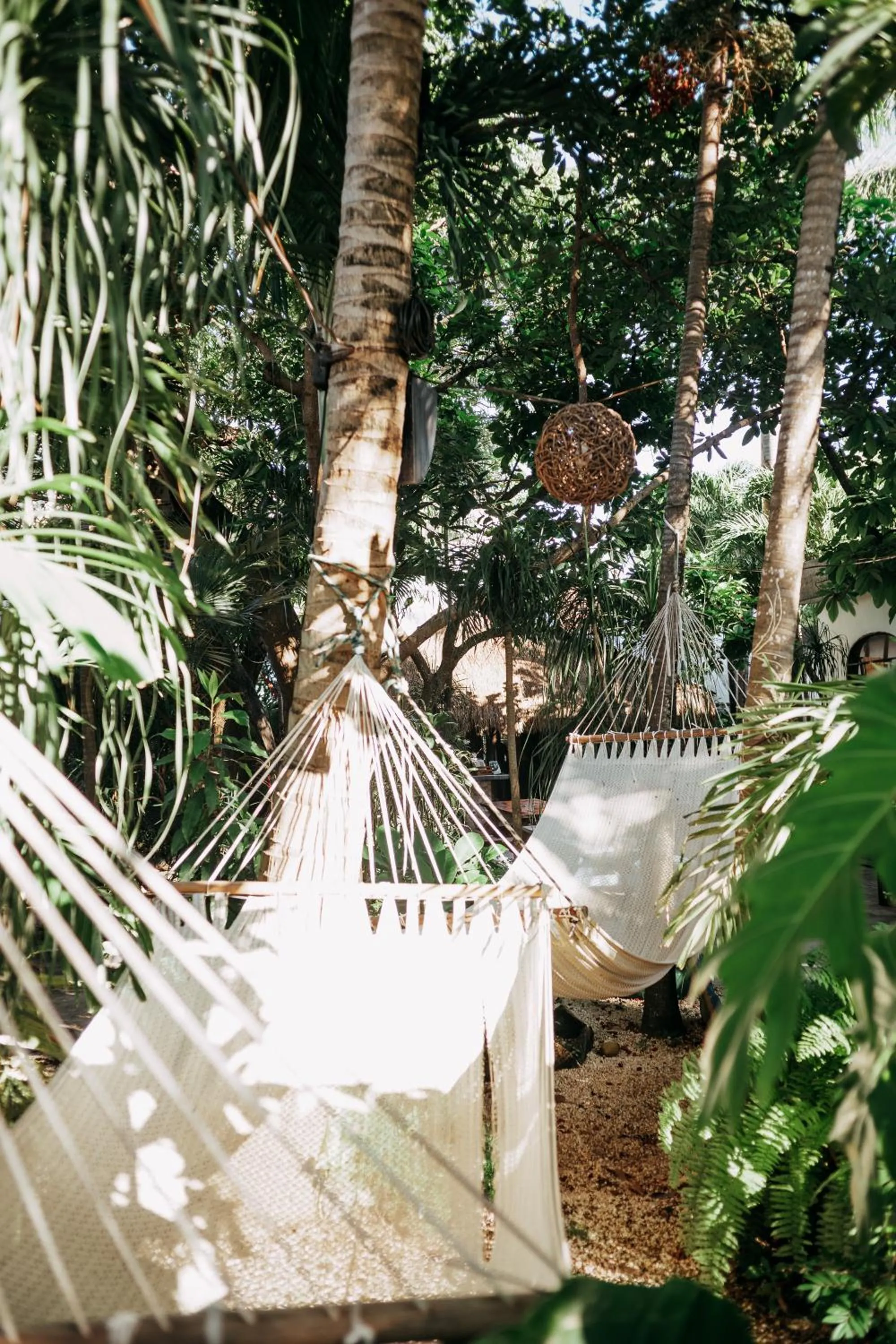 Garden in Hostel Oryx Tulum