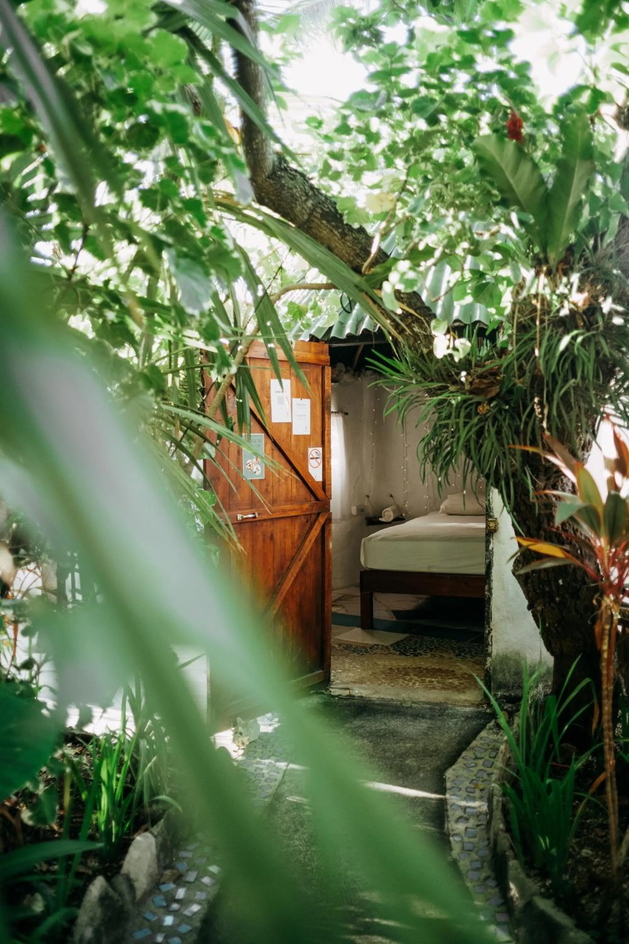 Garden in Hostel Oryx Tulum