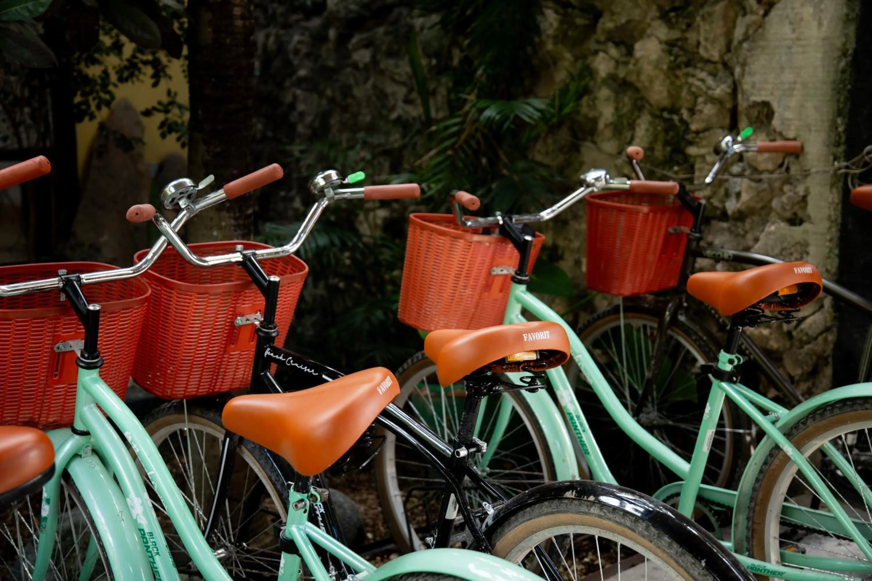 Activities in Hostel Oryx Tulum