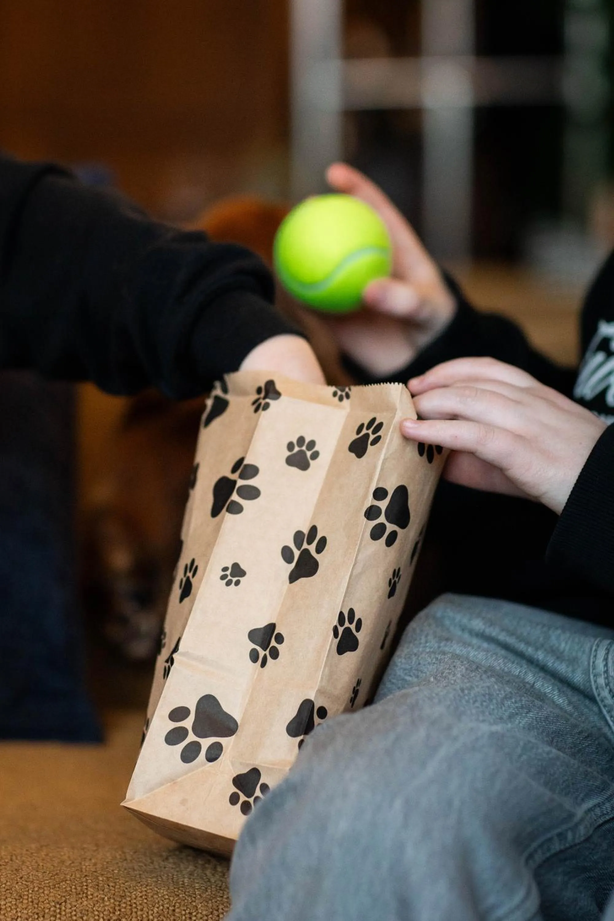 Pets in Oswego Hotel