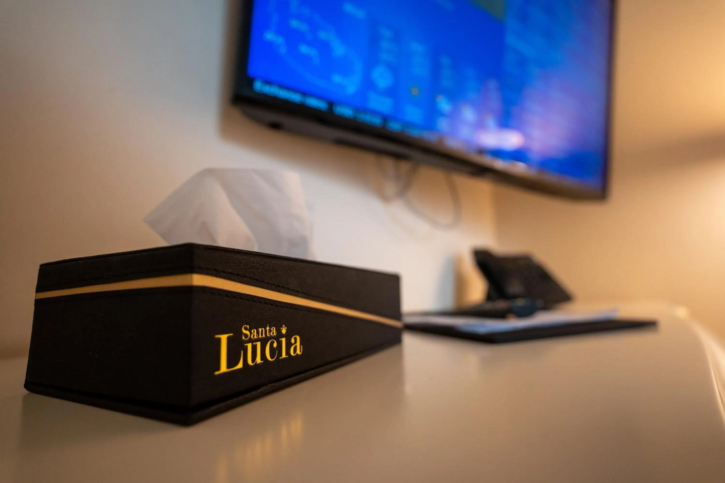 TV and multimedia in Santa Lucia Boutique Hotel