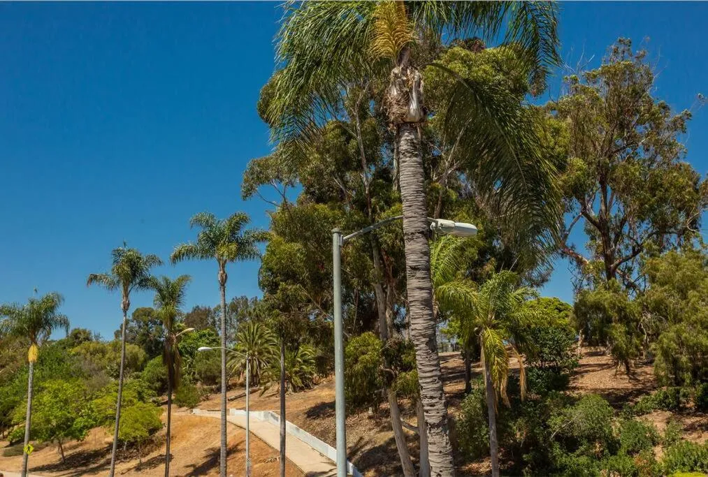 Cozy Studio next to San Diego DT and Balboa Park