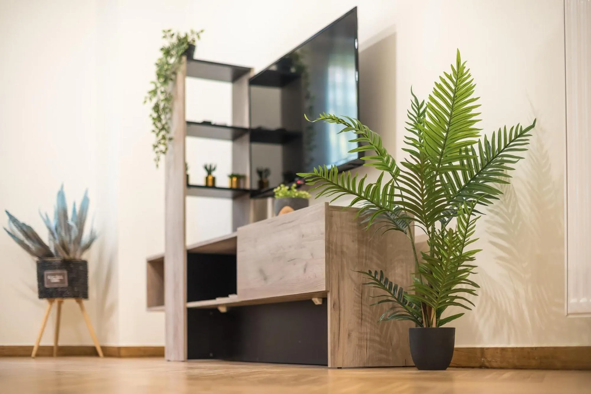 TV and multimedia in Elegant Suite by CloudKeys