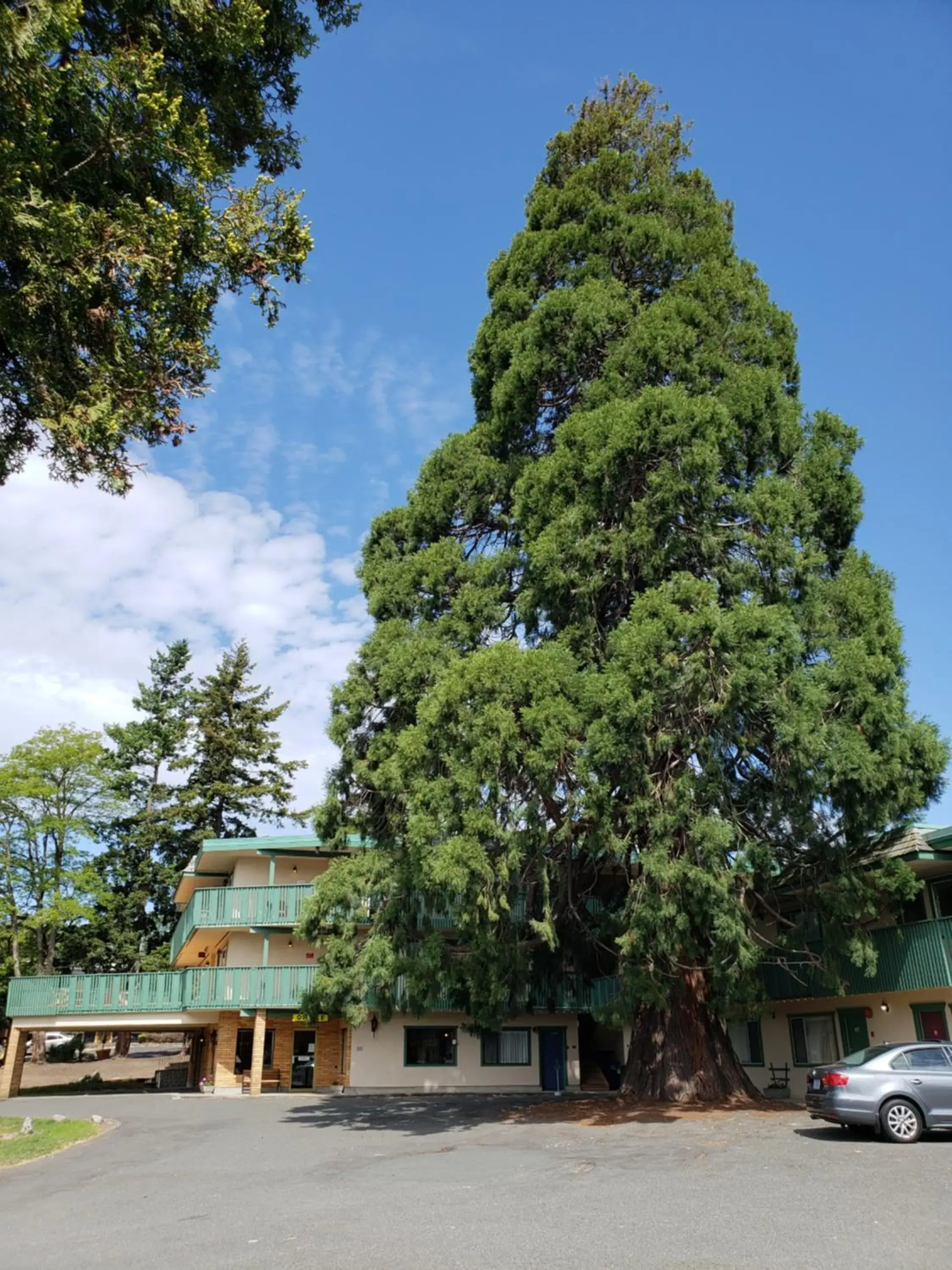 Property building in Robin Hood Inn and Suites Property building in Robin Hood Inn and Suites