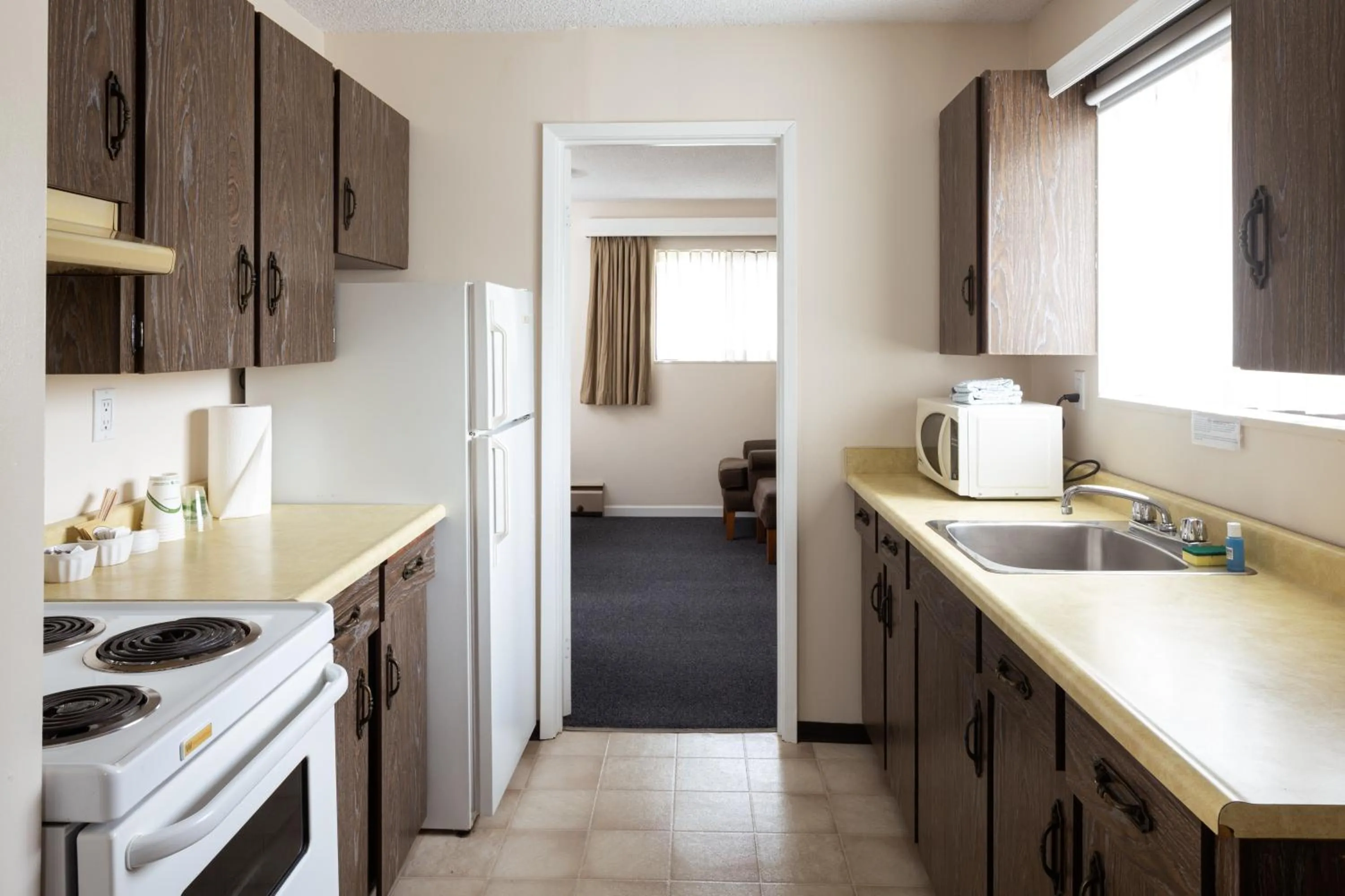 Kitchen or kitchenette in Robin Hood Inn and Suites