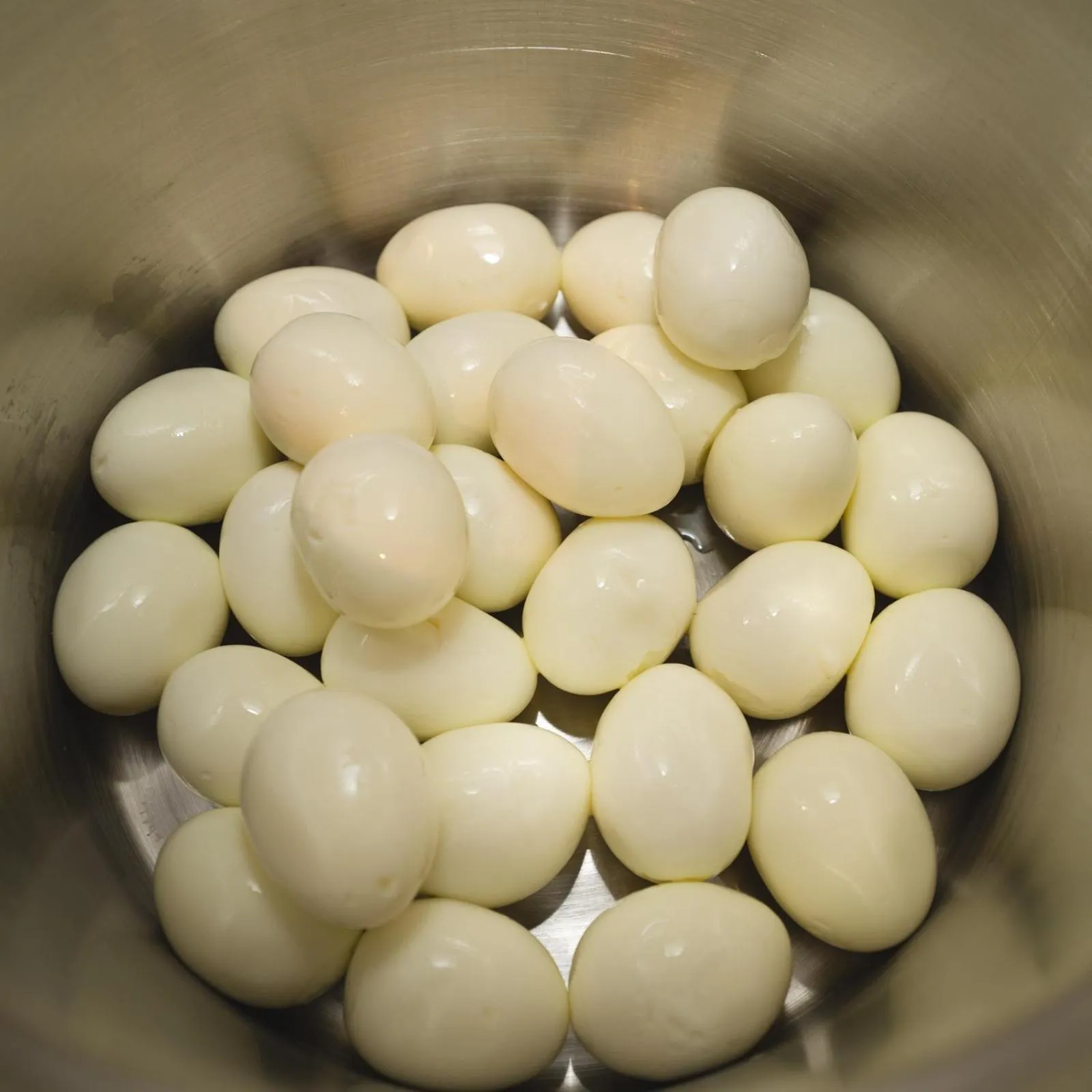 Food and drinks in Robin Hood Inn and Suites