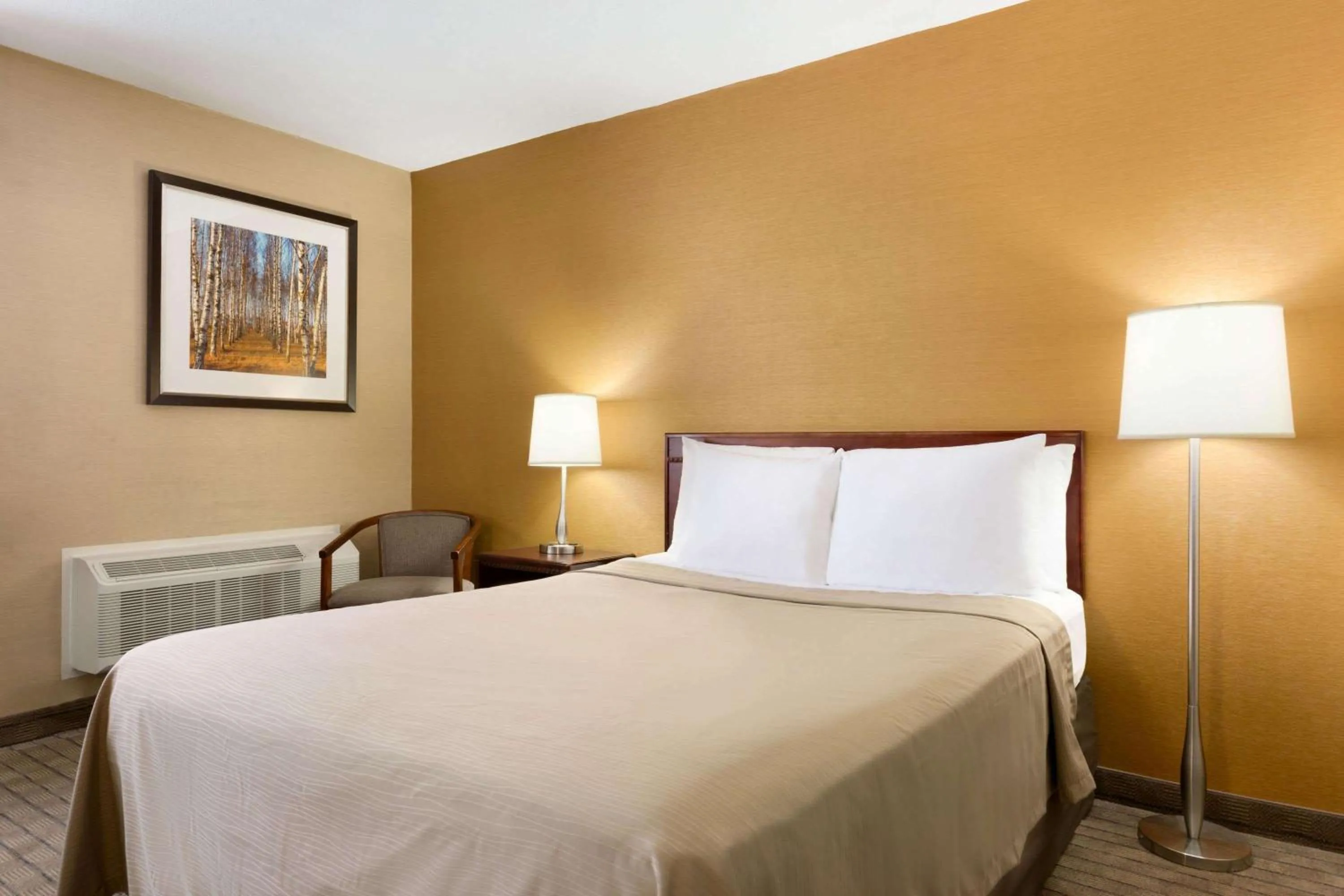 Photo of the whole room in Travelodge by Wyndham Toronto East