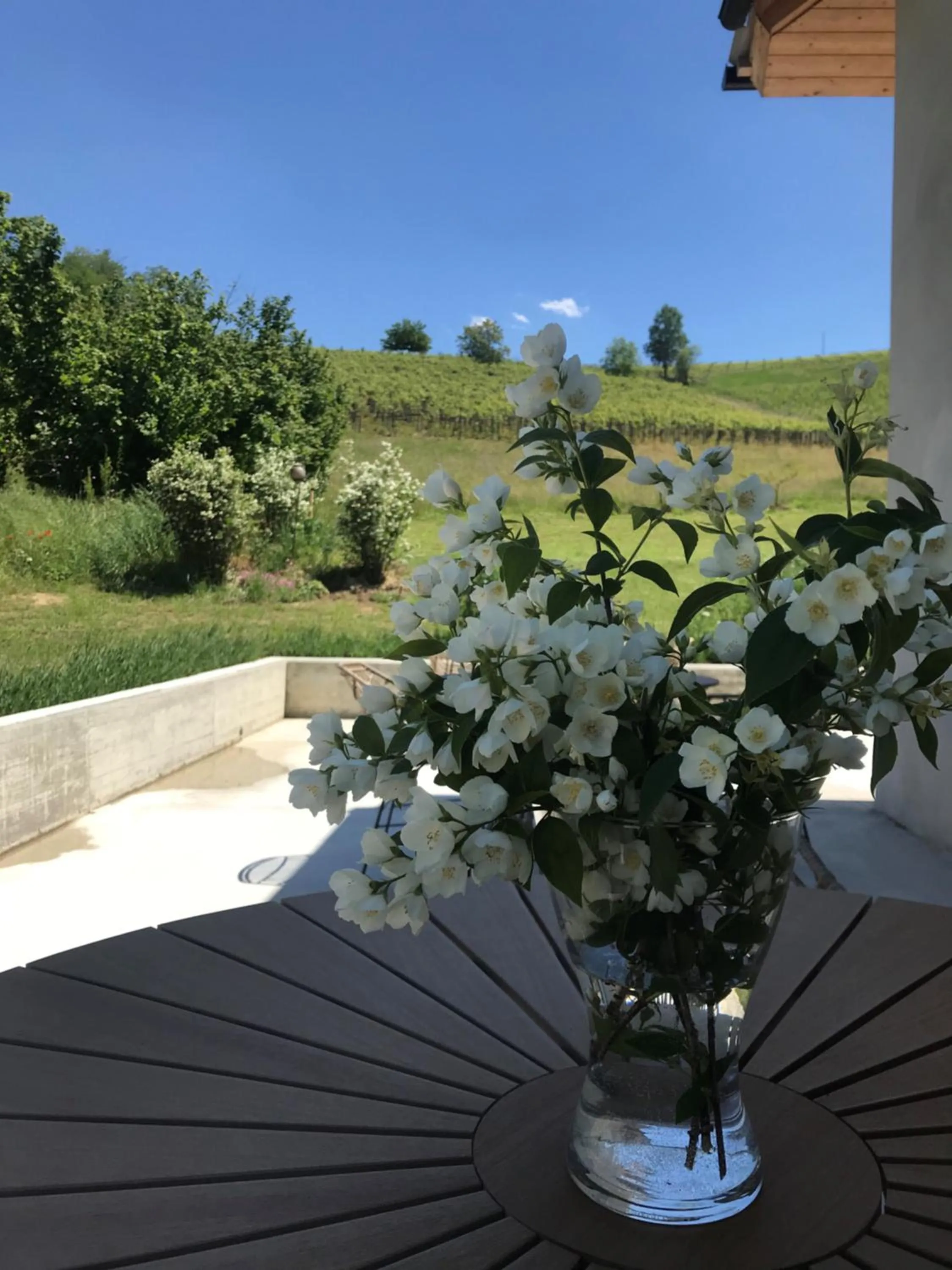 Garden view in Sotto La Vigna Charm Stay Adults only vacation Bed and breakfast room