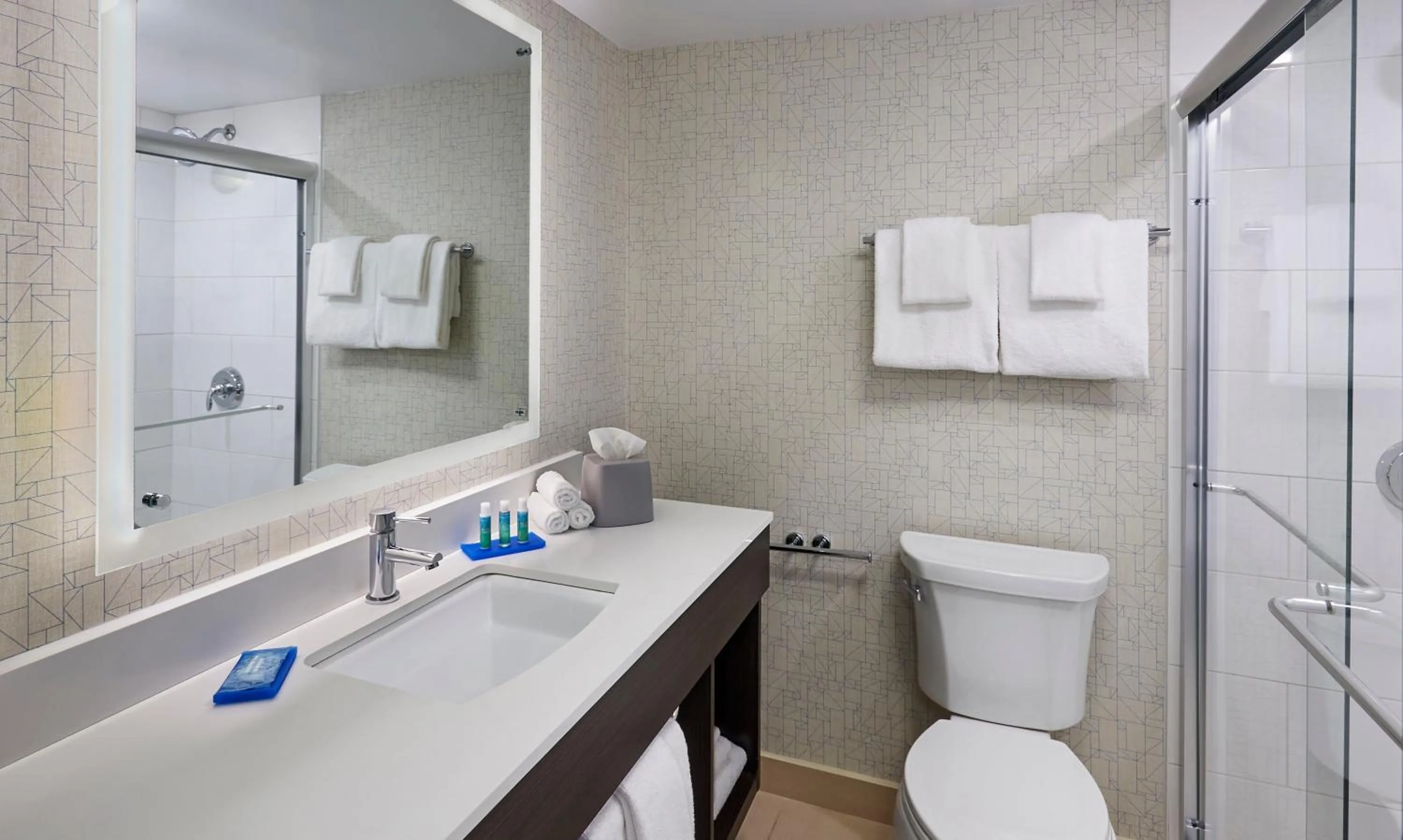 Bathroom in Holiday Inn Express Windsor Waterfront by IHG