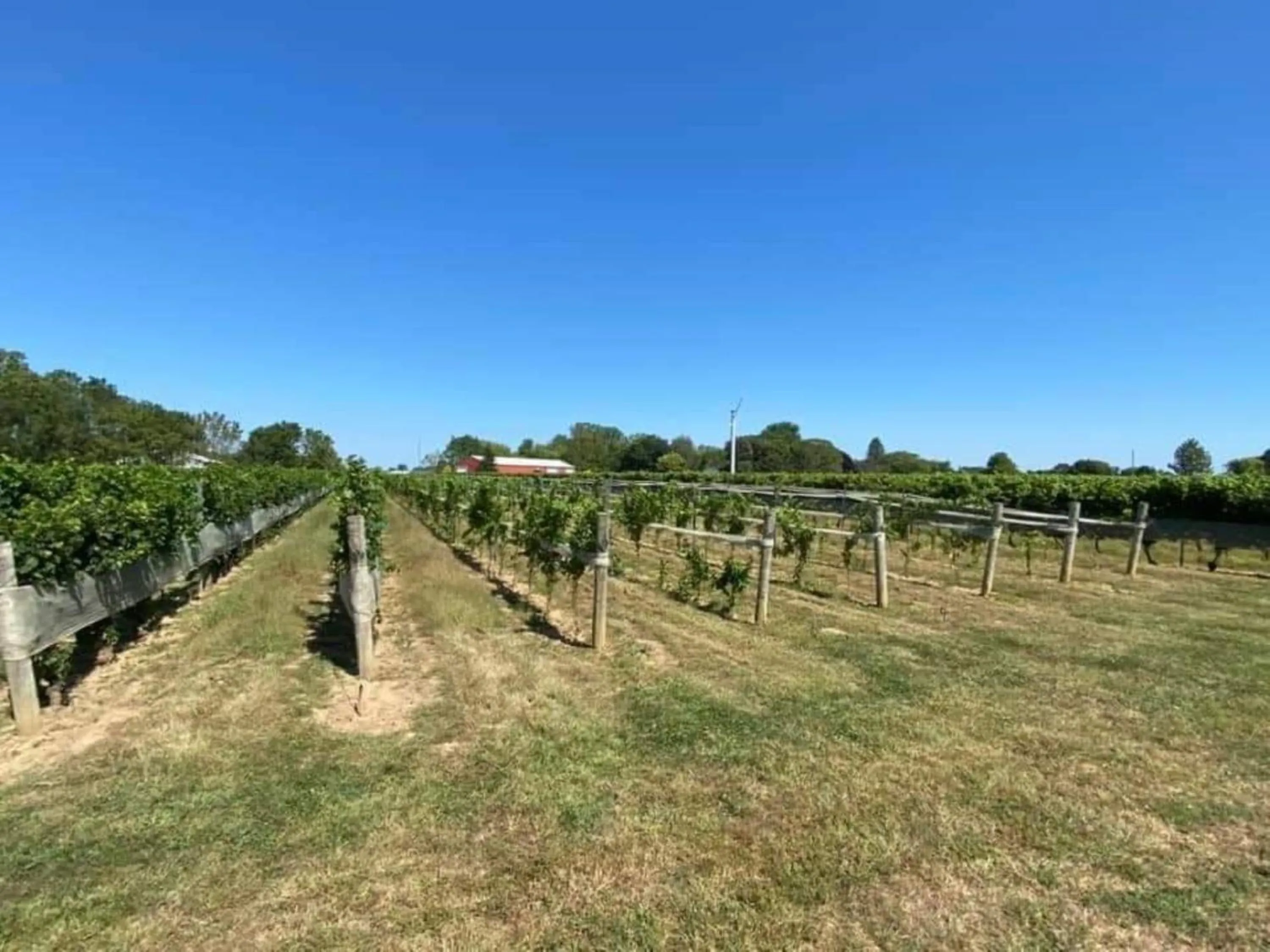 Nearby landmark in Holiday Inn Express Windsor Waterfront by IHG
