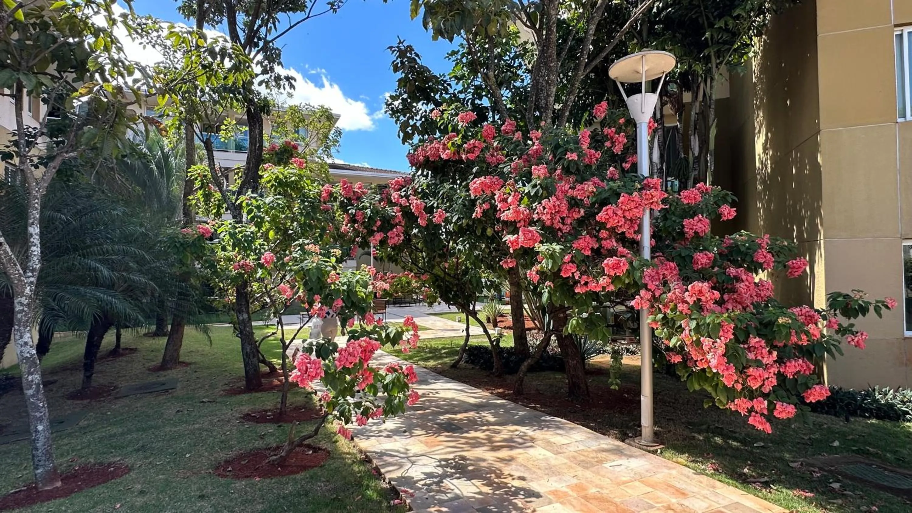 Garden in The Sun Full Condominiun