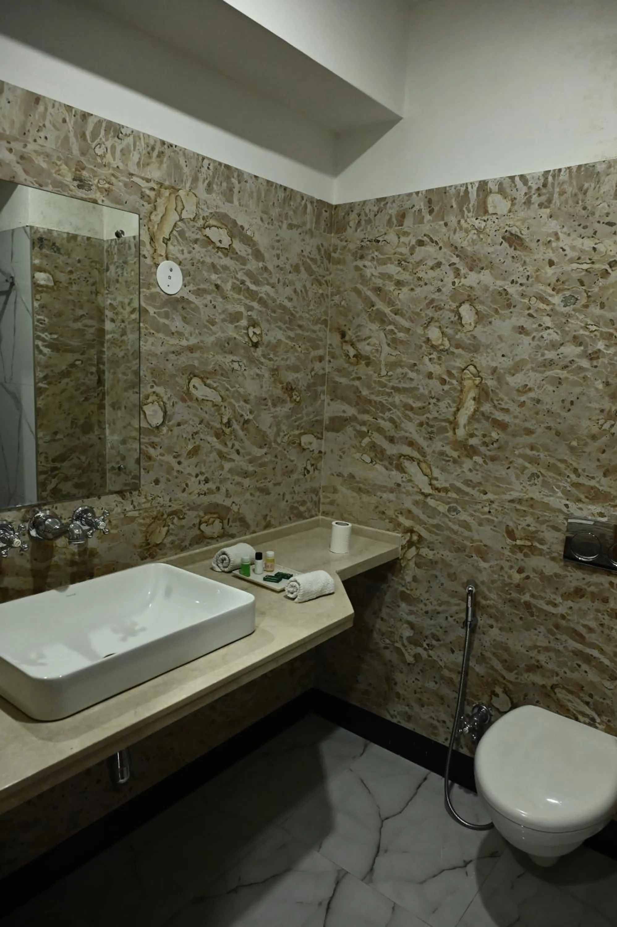 Toilet in Hotel Rime Vista