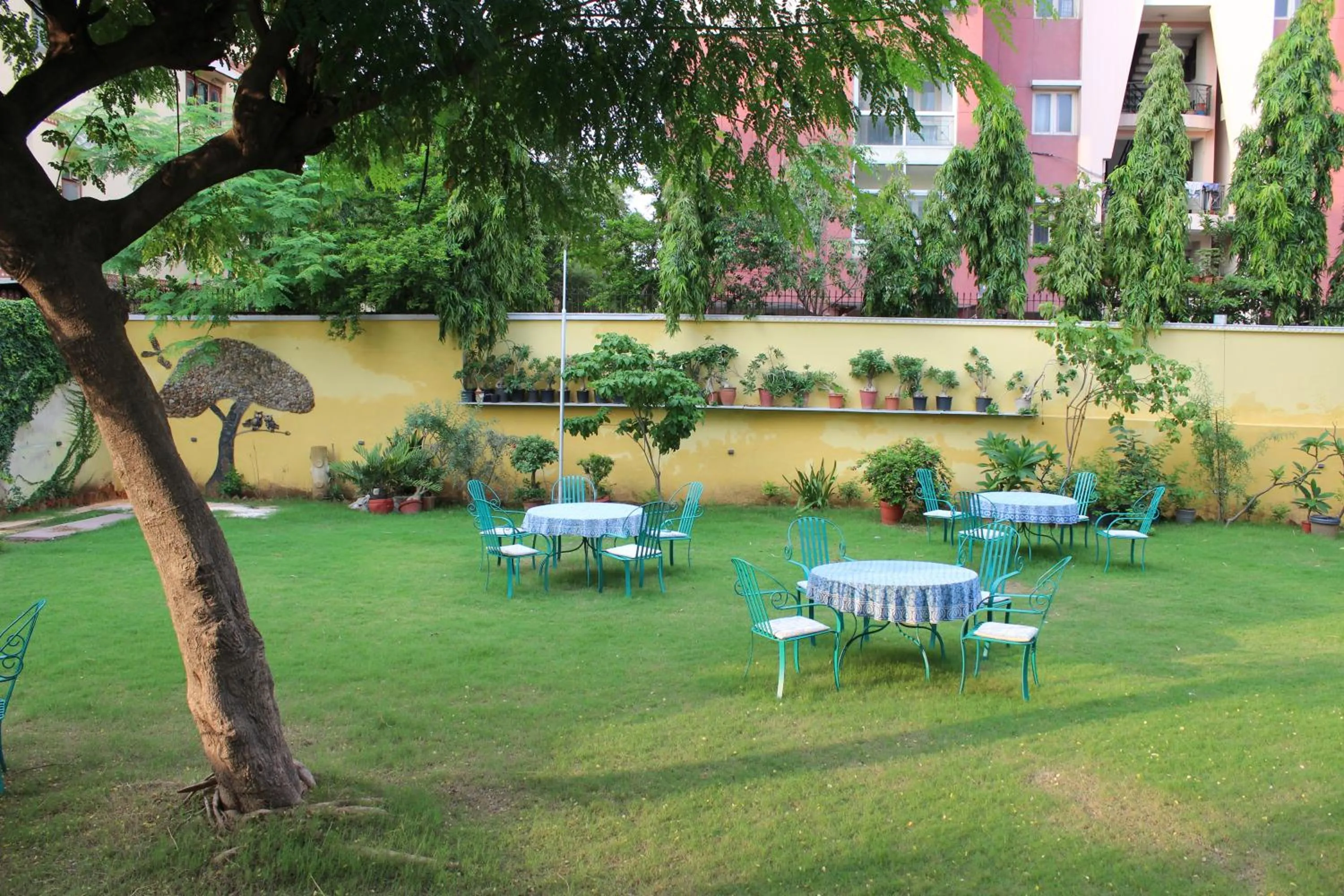 Restaurant/places to eat in Hotel Rime Vista