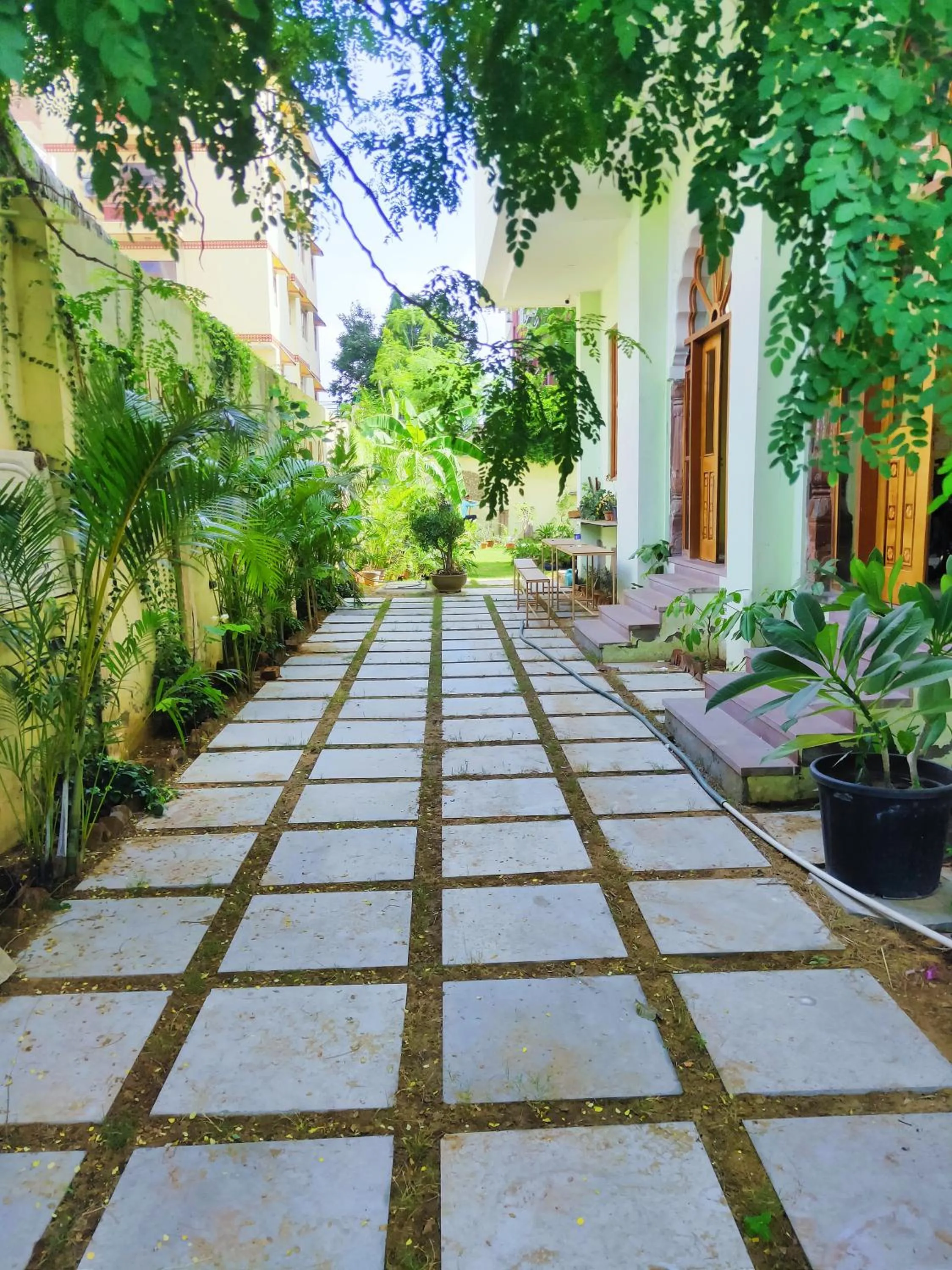 Garden in Hotel Rime Vista