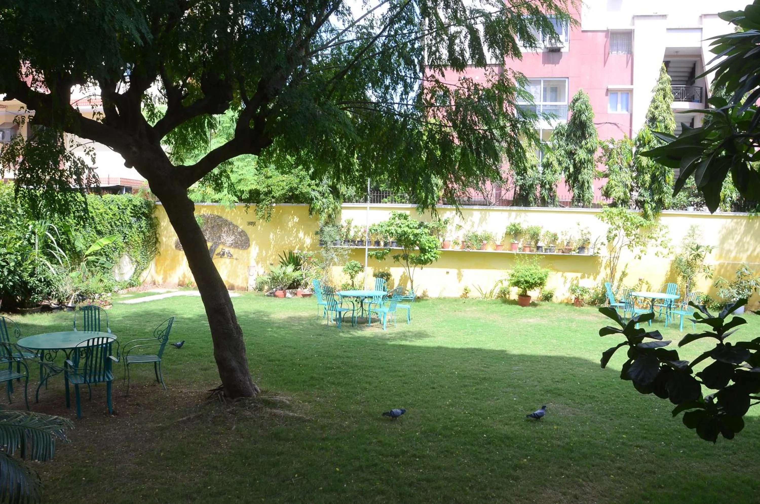 Garden in Hotel Rime Vista